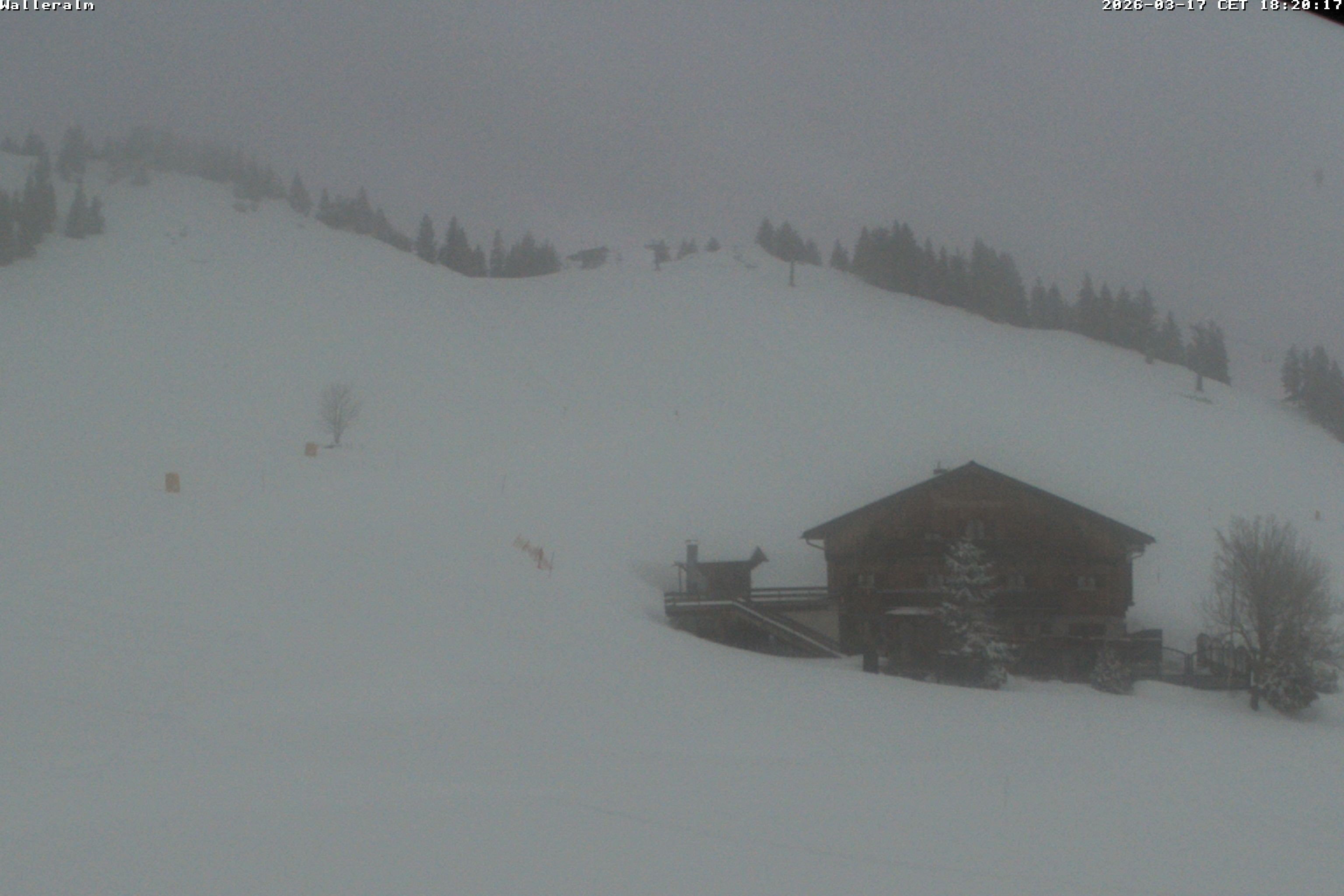 Archiv Foto Webcam Walleralm im Oberen Sudelfeld