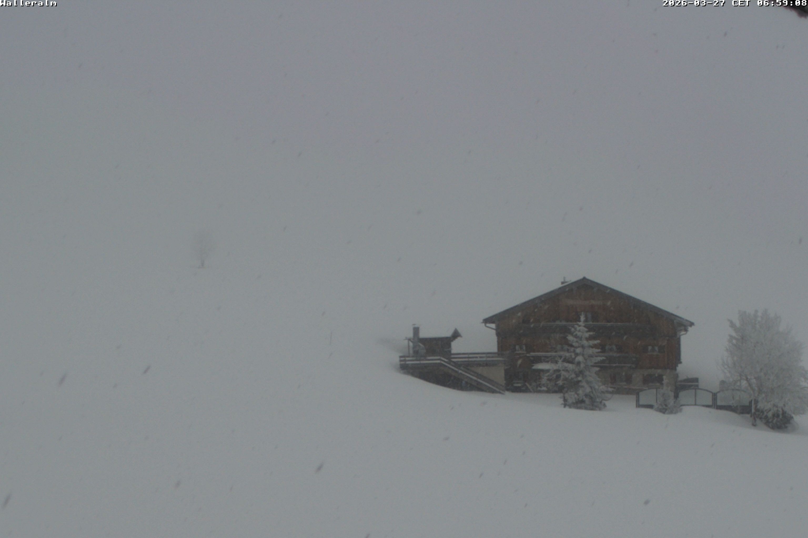 Archiv Foto Webcam Walleralm im Oberen Sudelfeld