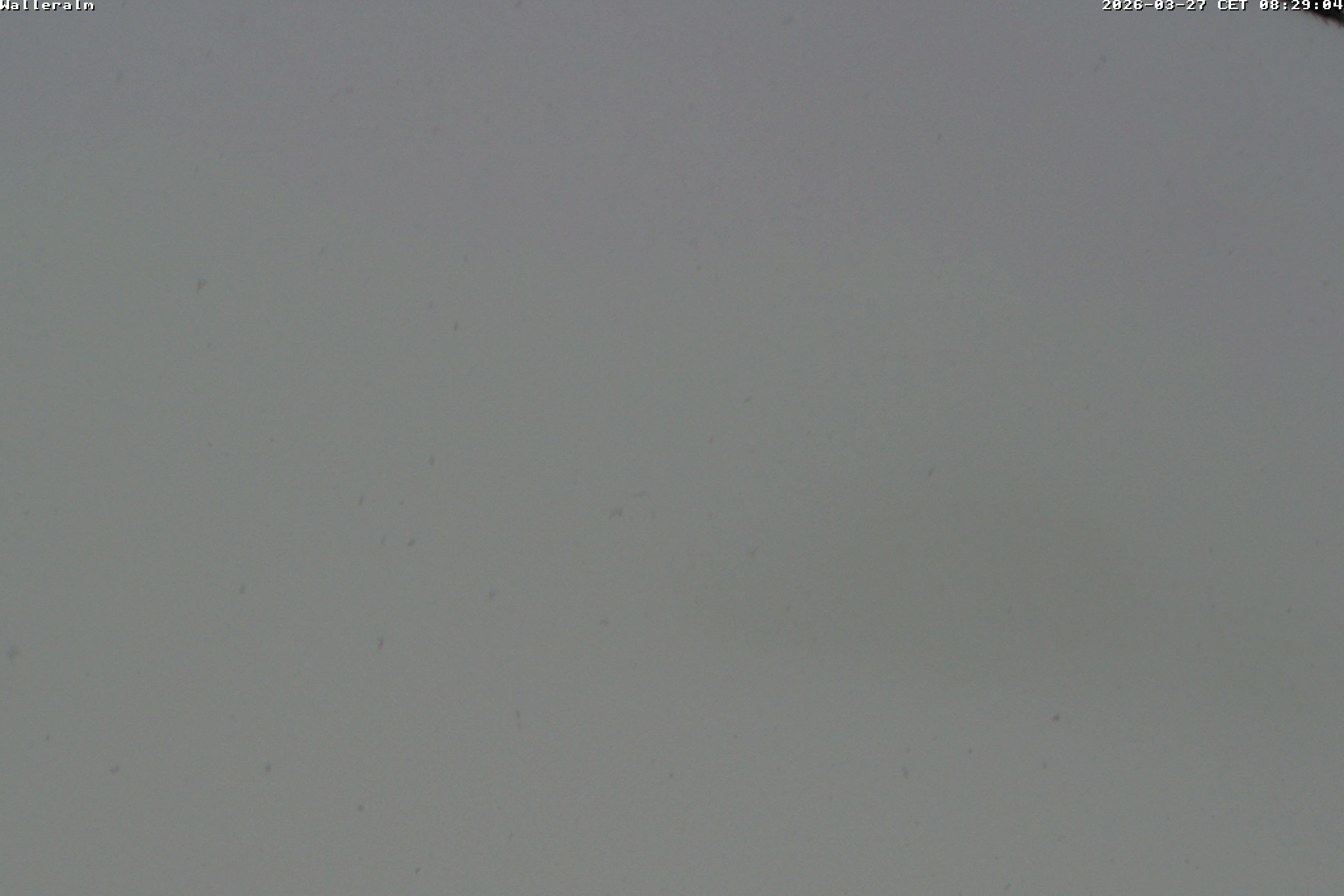 Archiv Foto Webcam Walleralm im Oberen Sudelfeld