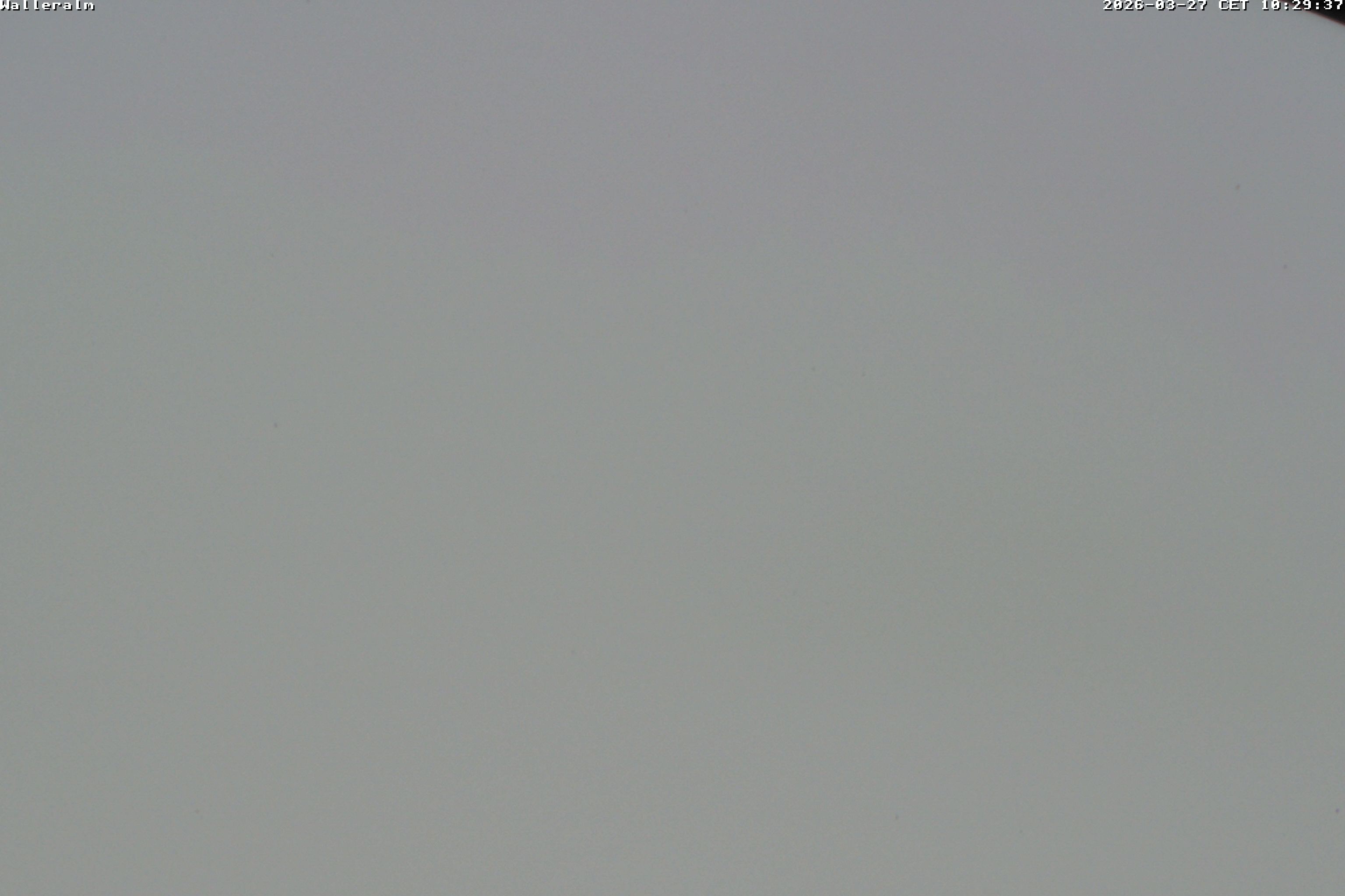 Archiv Foto Webcam Walleralm im Oberen Sudelfeld