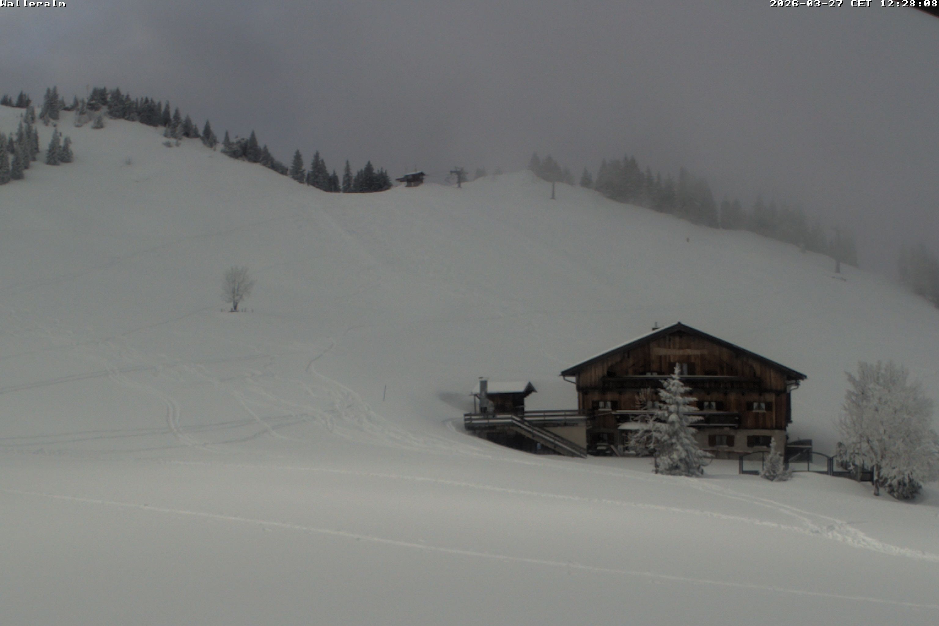 Archiv Foto Webcam Walleralm im Oberen Sudelfeld