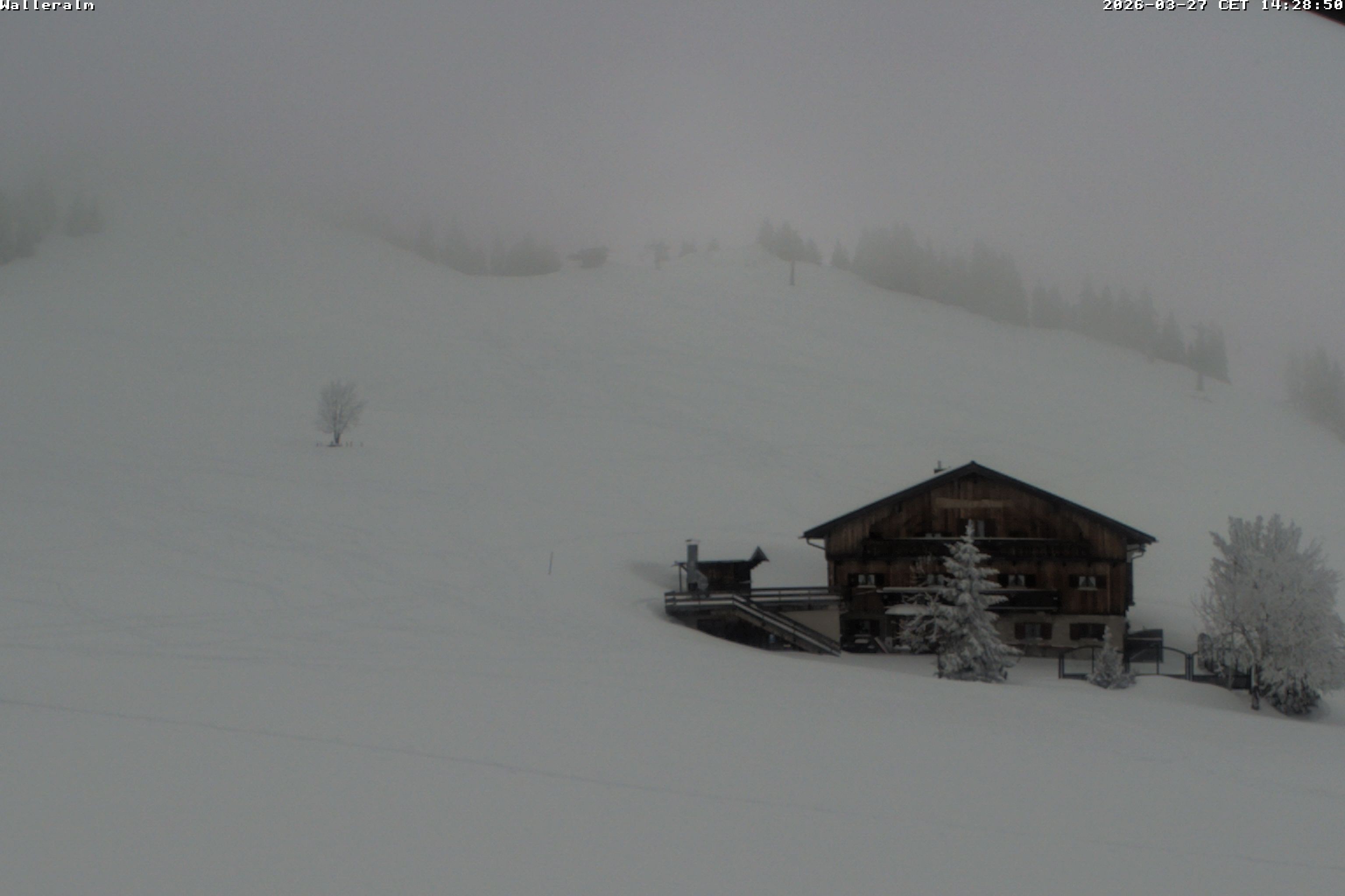 Archiv Foto Webcam Walleralm im Oberen Sudelfeld