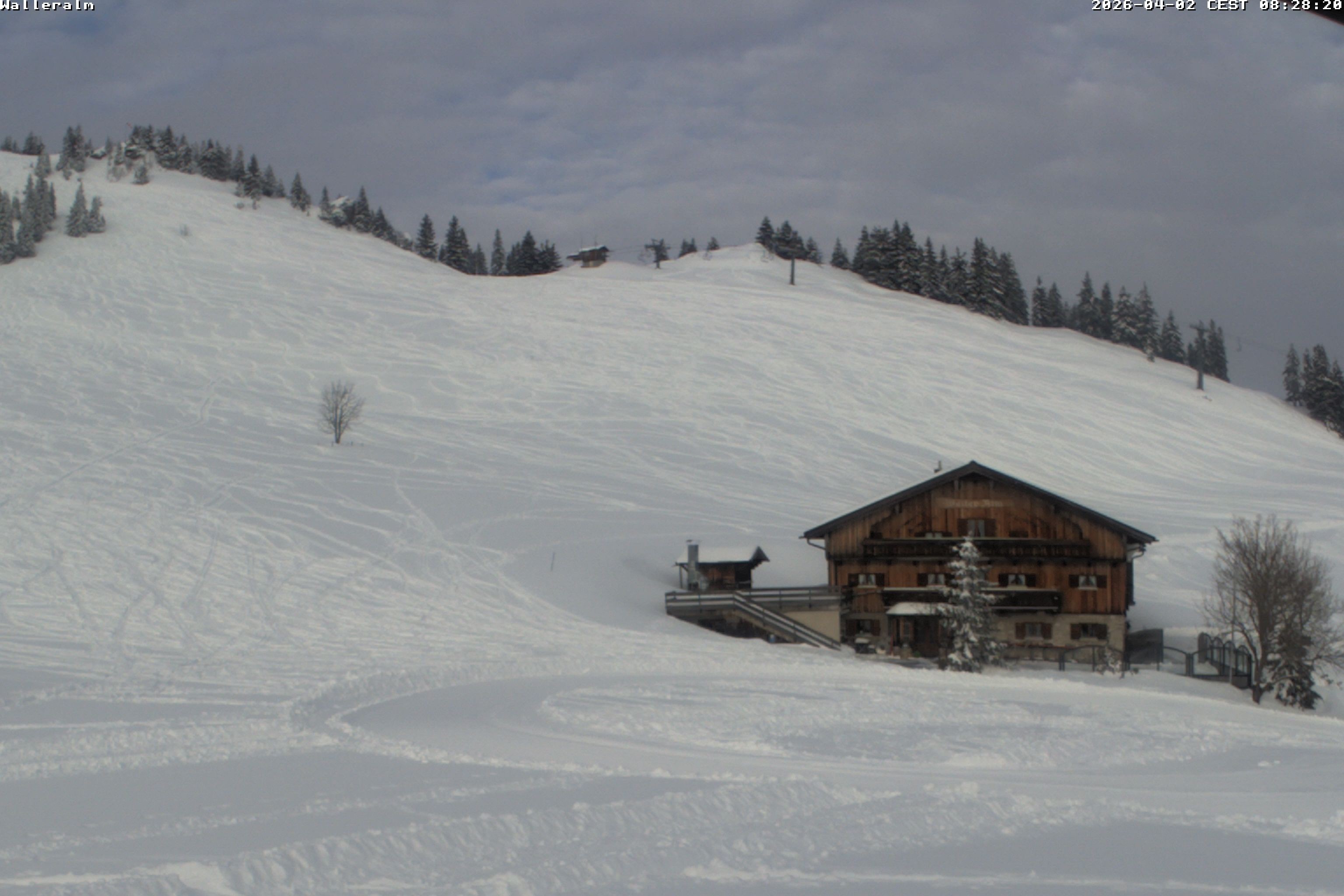 Archiv Foto Webcam Walleralm im Oberen Sudelfeld
