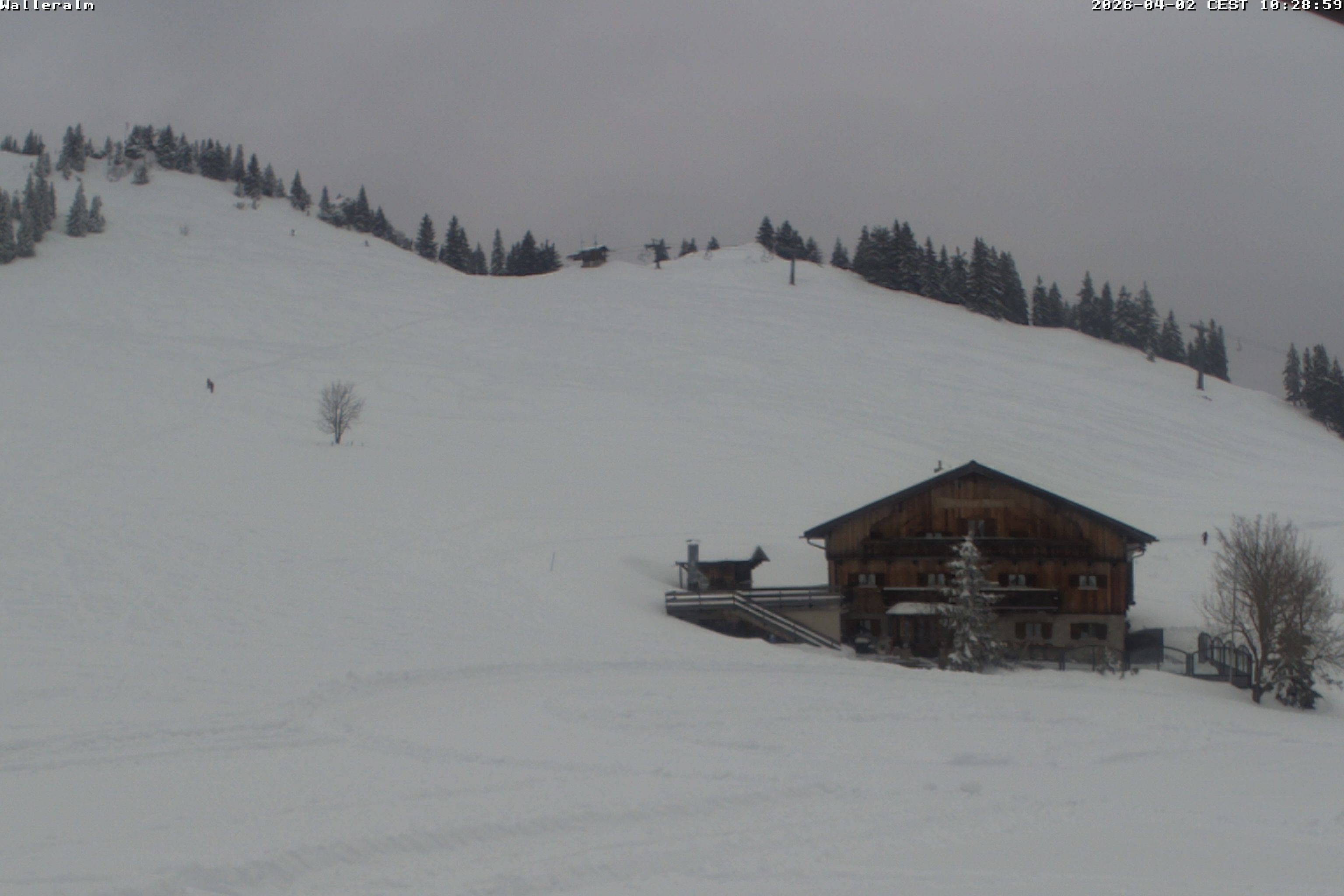 Archiv Foto Webcam Walleralm im Oberen Sudelfeld