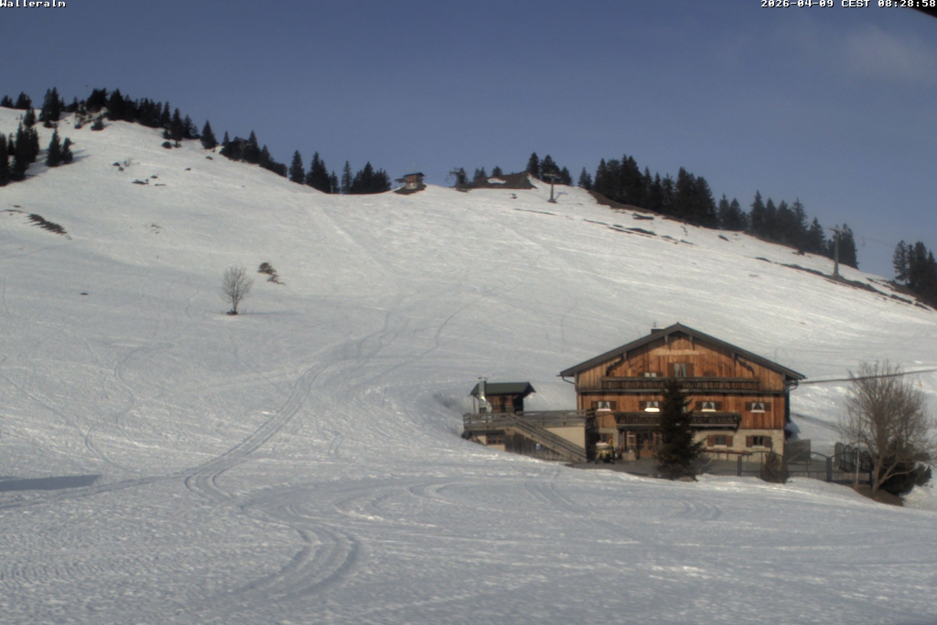 Archiv Foto Webcam Walleralm im Oberen Sudelfeld