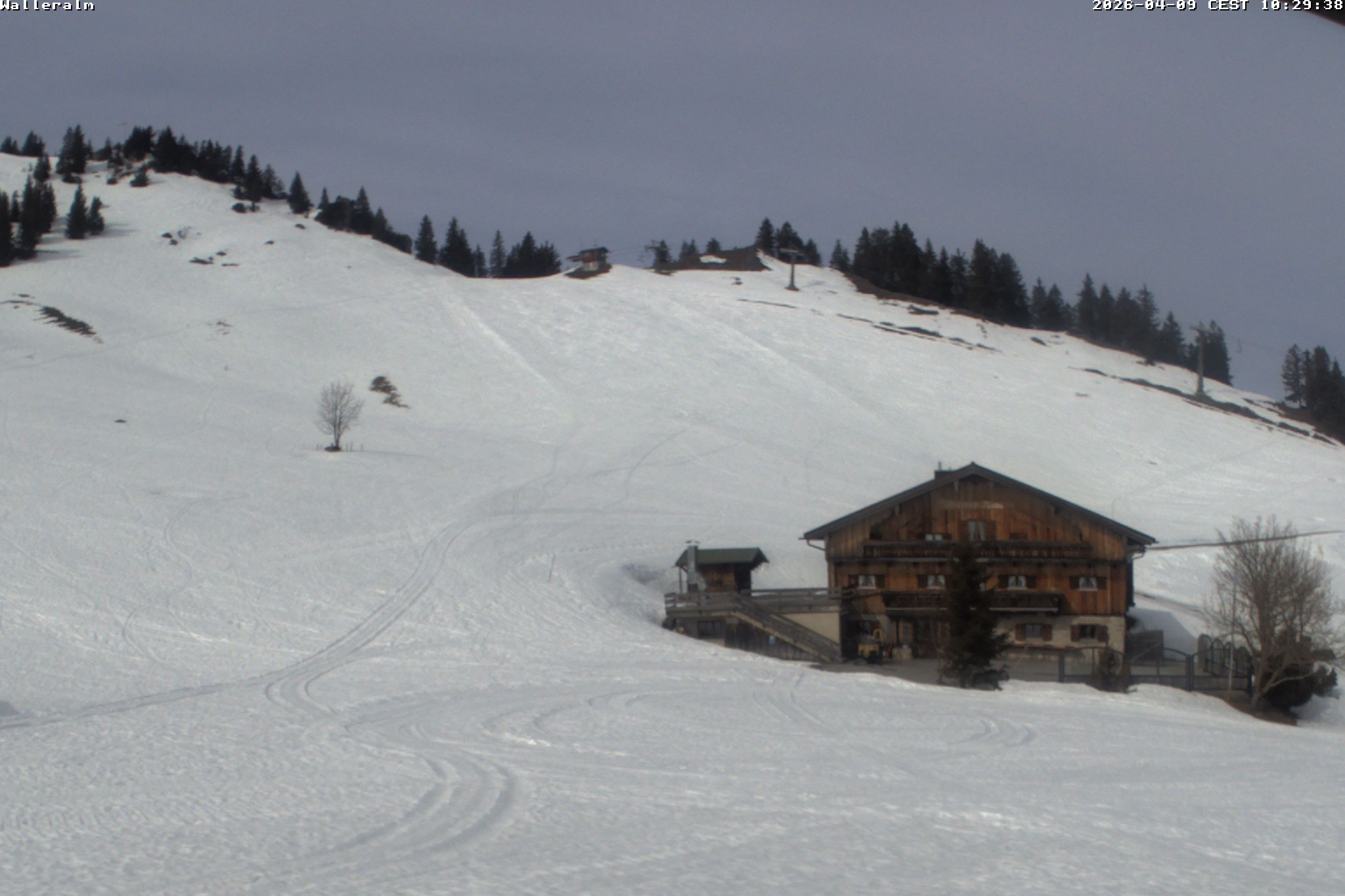 Archiv Foto Webcam Walleralm im Oberen Sudelfeld