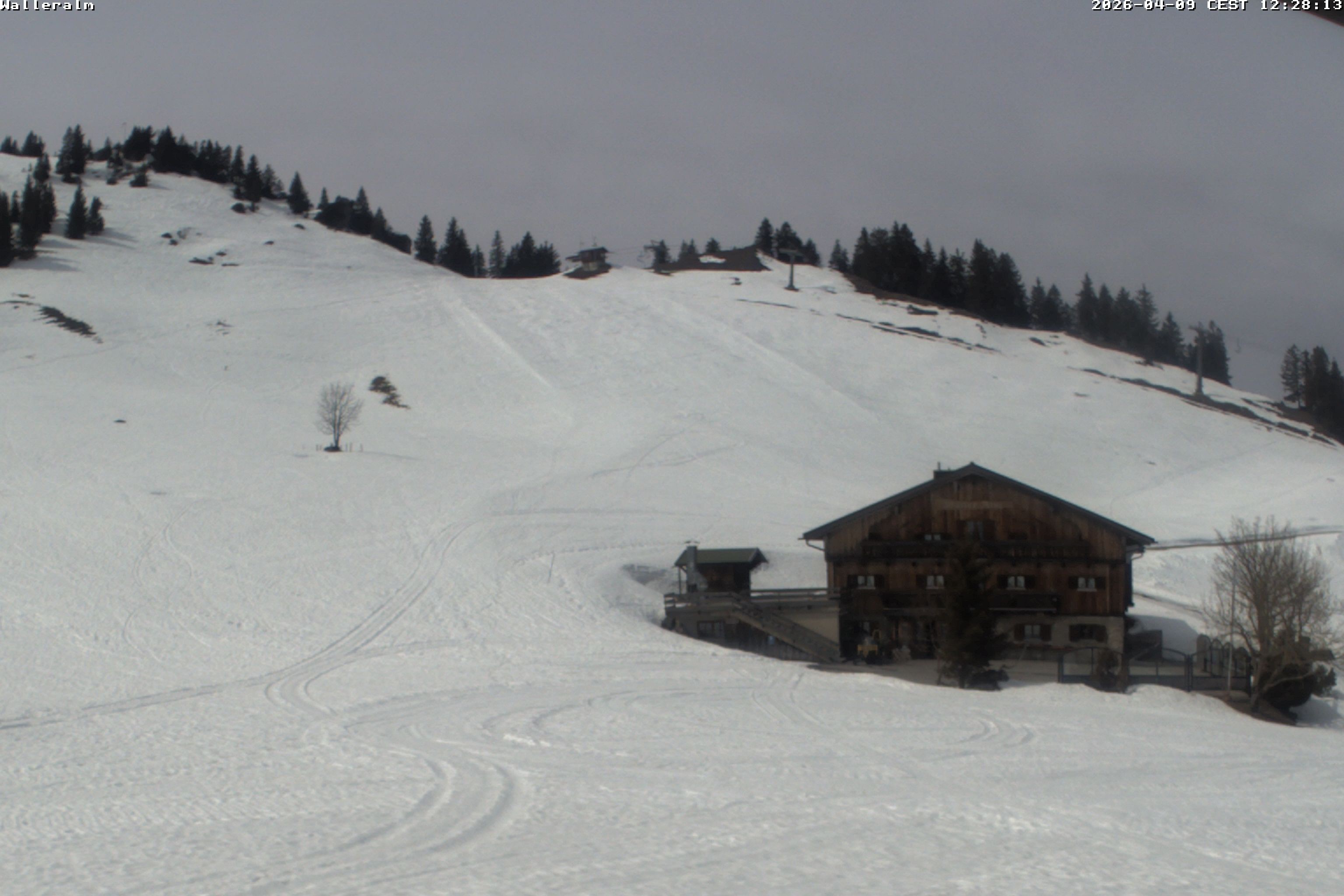 Archiv Foto Webcam Walleralm im Oberen Sudelfeld