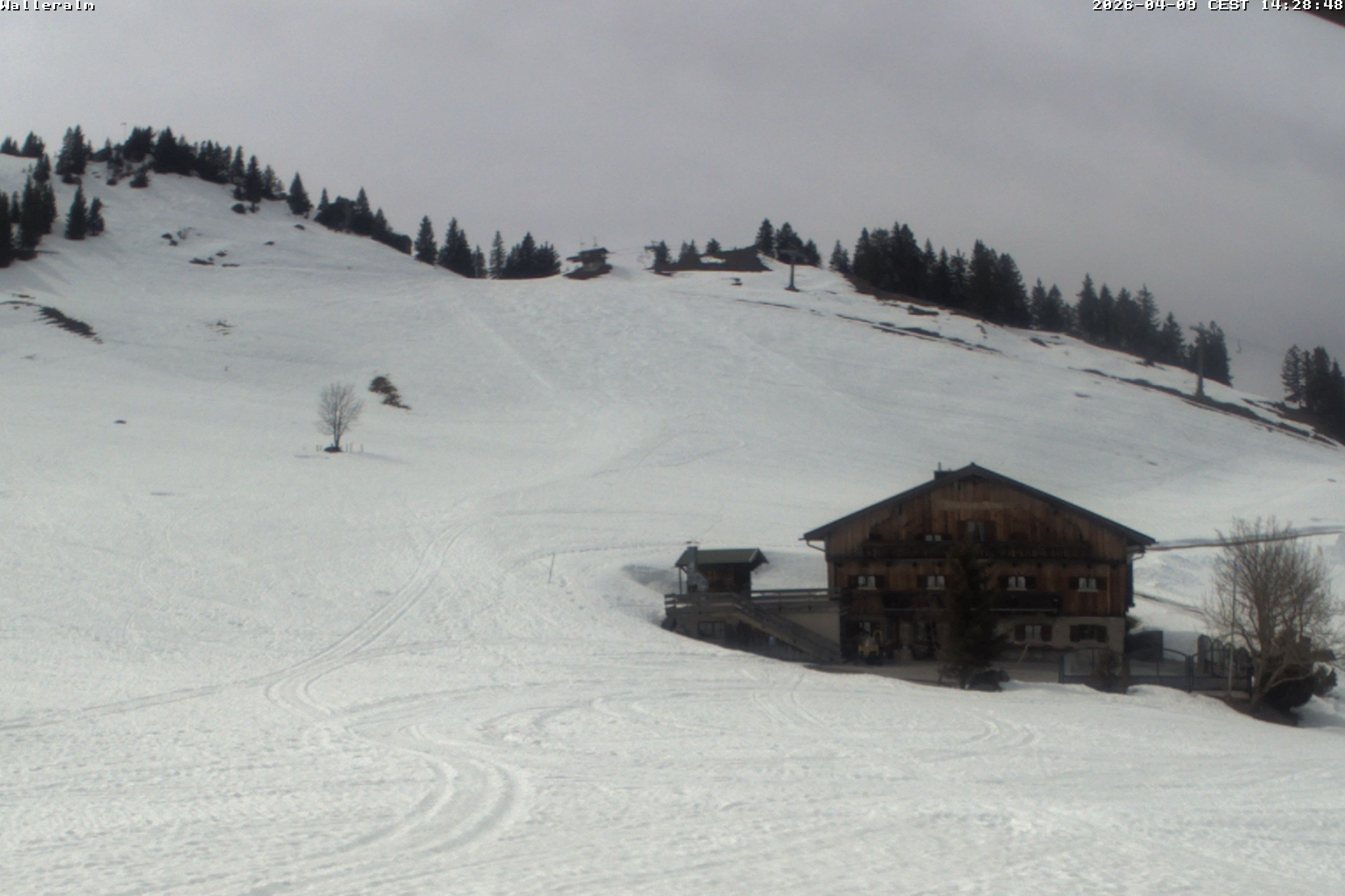 Archiv Foto Webcam Walleralm im Oberen Sudelfeld