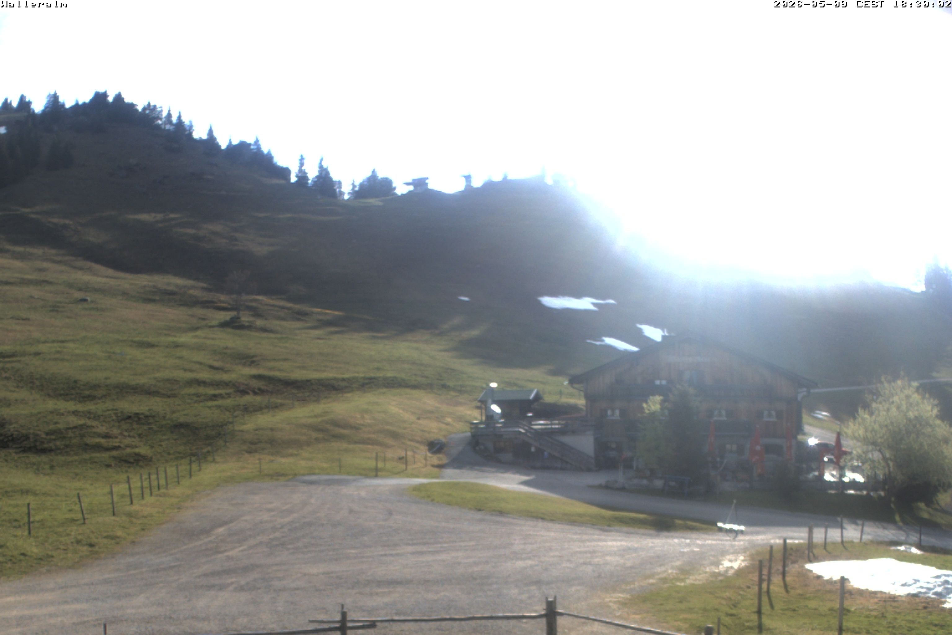 Archiv Foto Webcam Walleralm im Oberen Sudelfeld