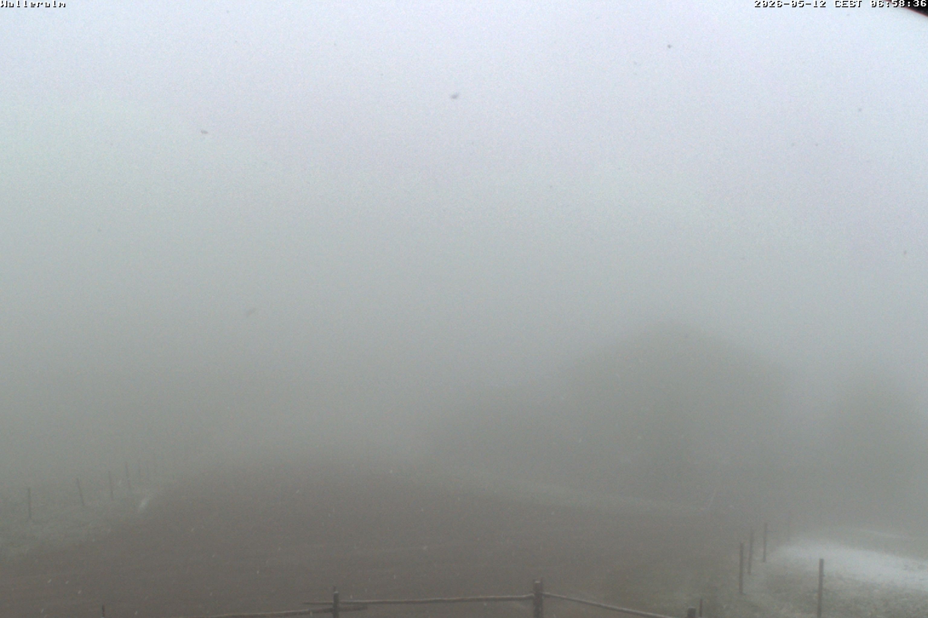 Archiv Foto Webcam Walleralm im Oberen Sudelfeld