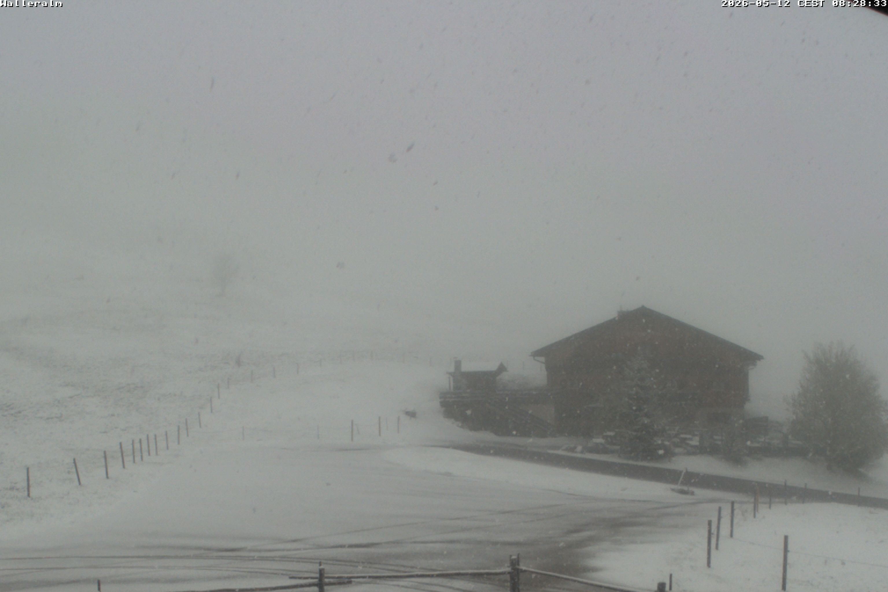 Archiv Foto Webcam Walleralm im Oberen Sudelfeld