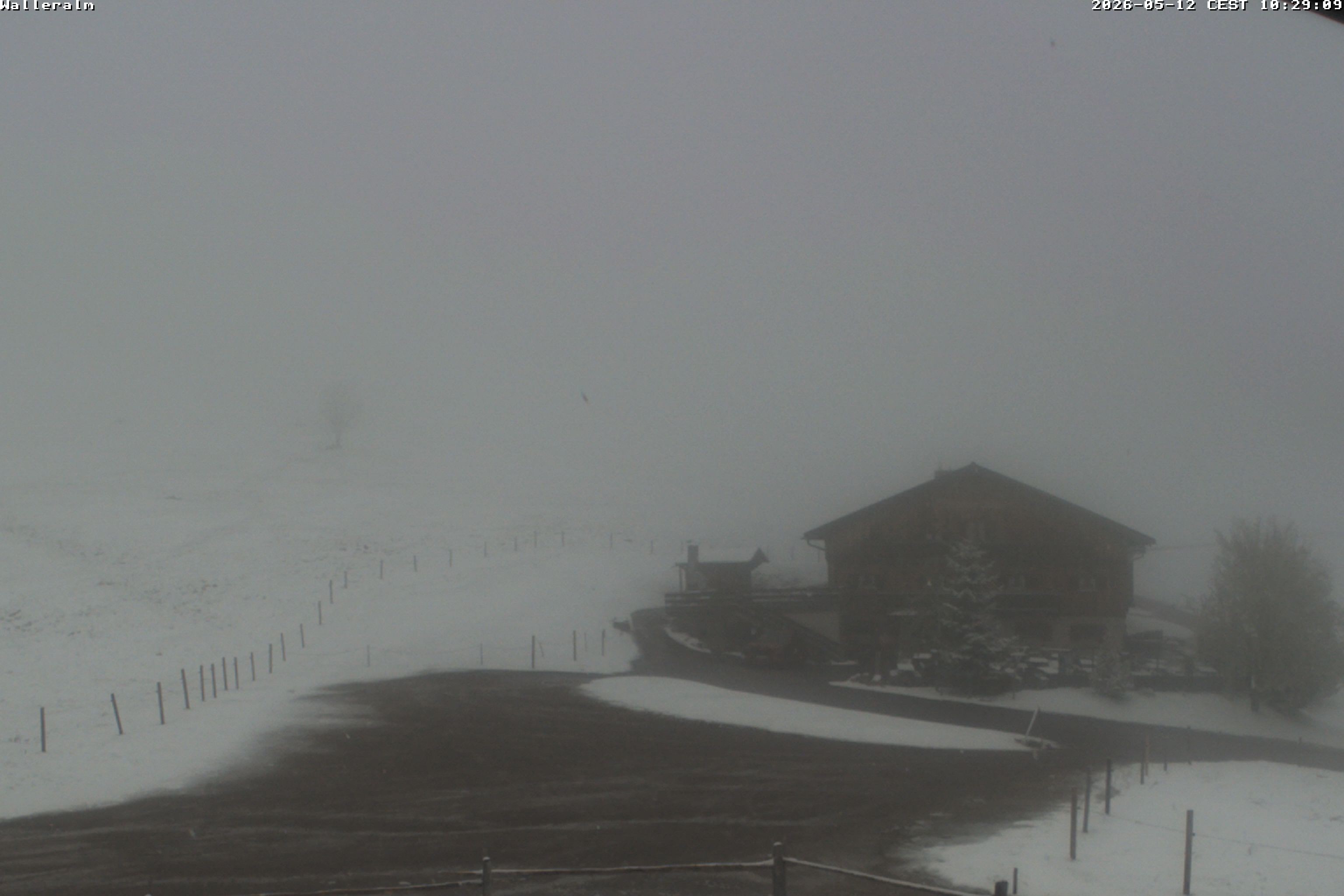Archiv Foto Webcam Walleralm im Oberen Sudelfeld