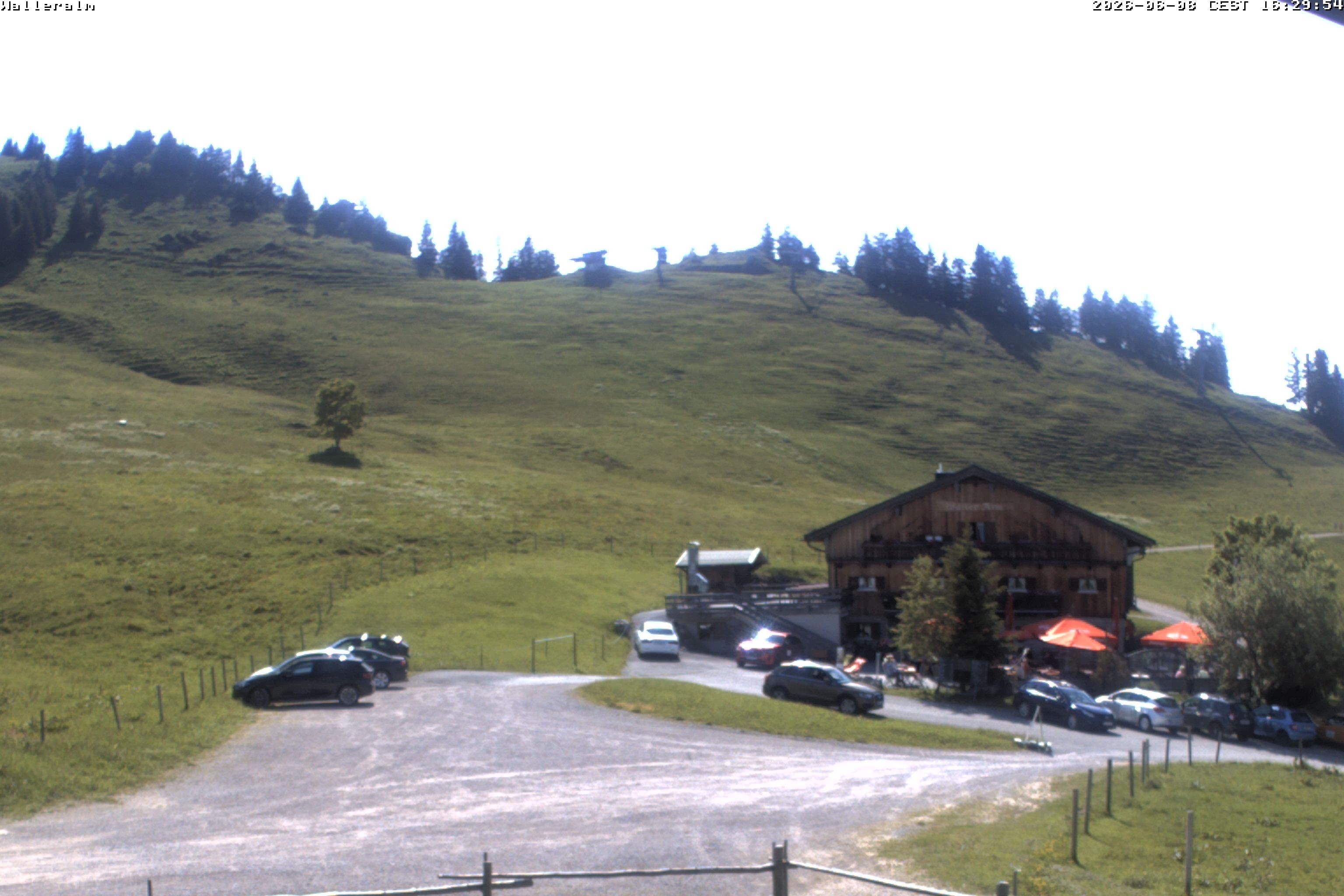 Archiv Foto Webcam Walleralm im Oberen Sudelfeld