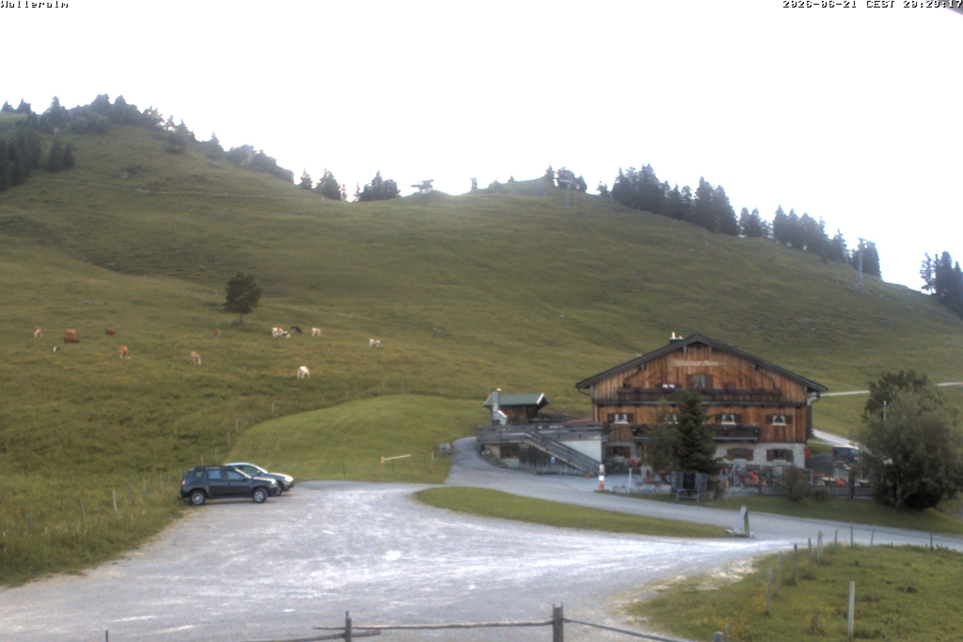 Archiv Foto Webcam Walleralm im Oberen Sudelfeld