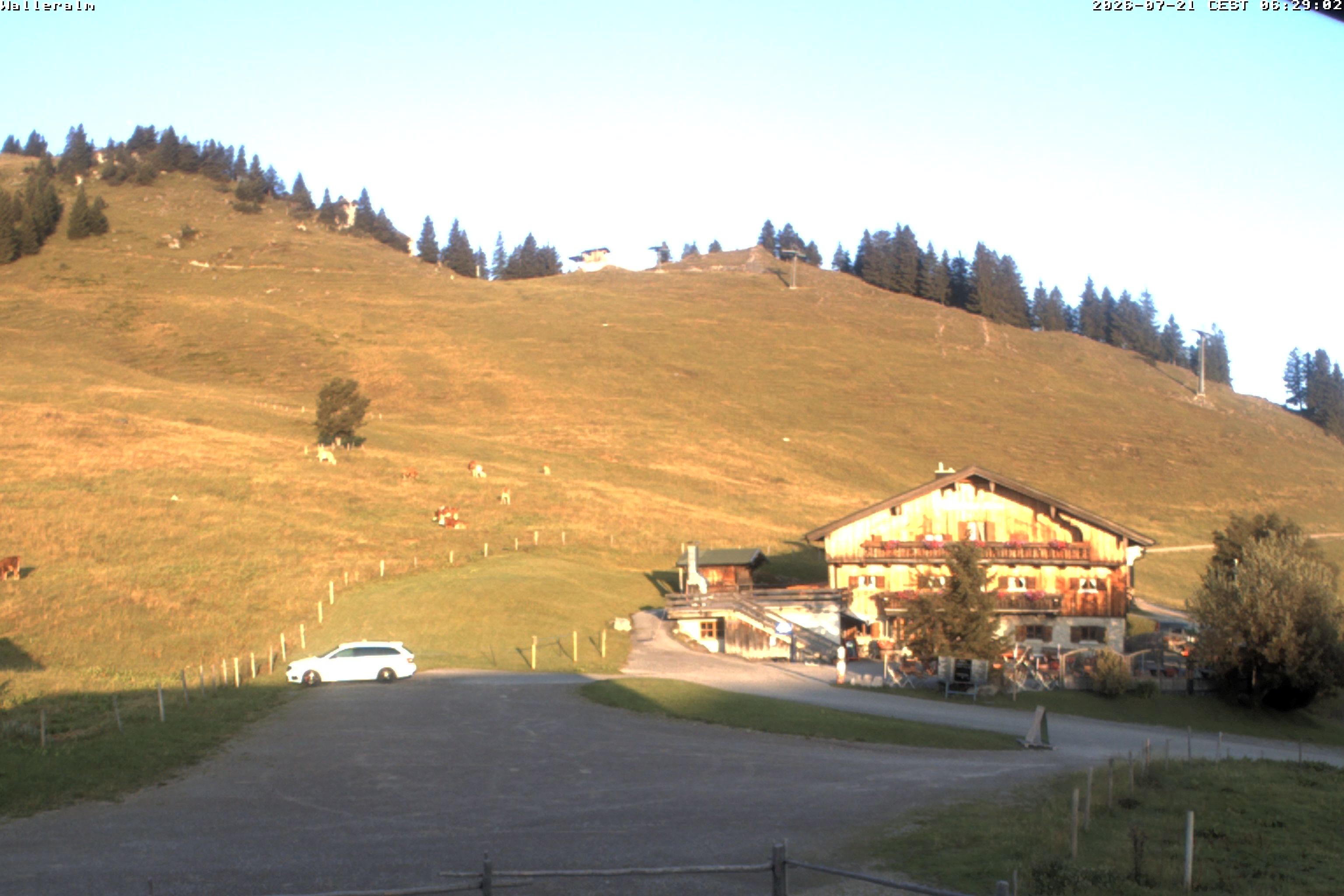 Archiv Foto Webcam Walleralm im Oberen Sudelfeld