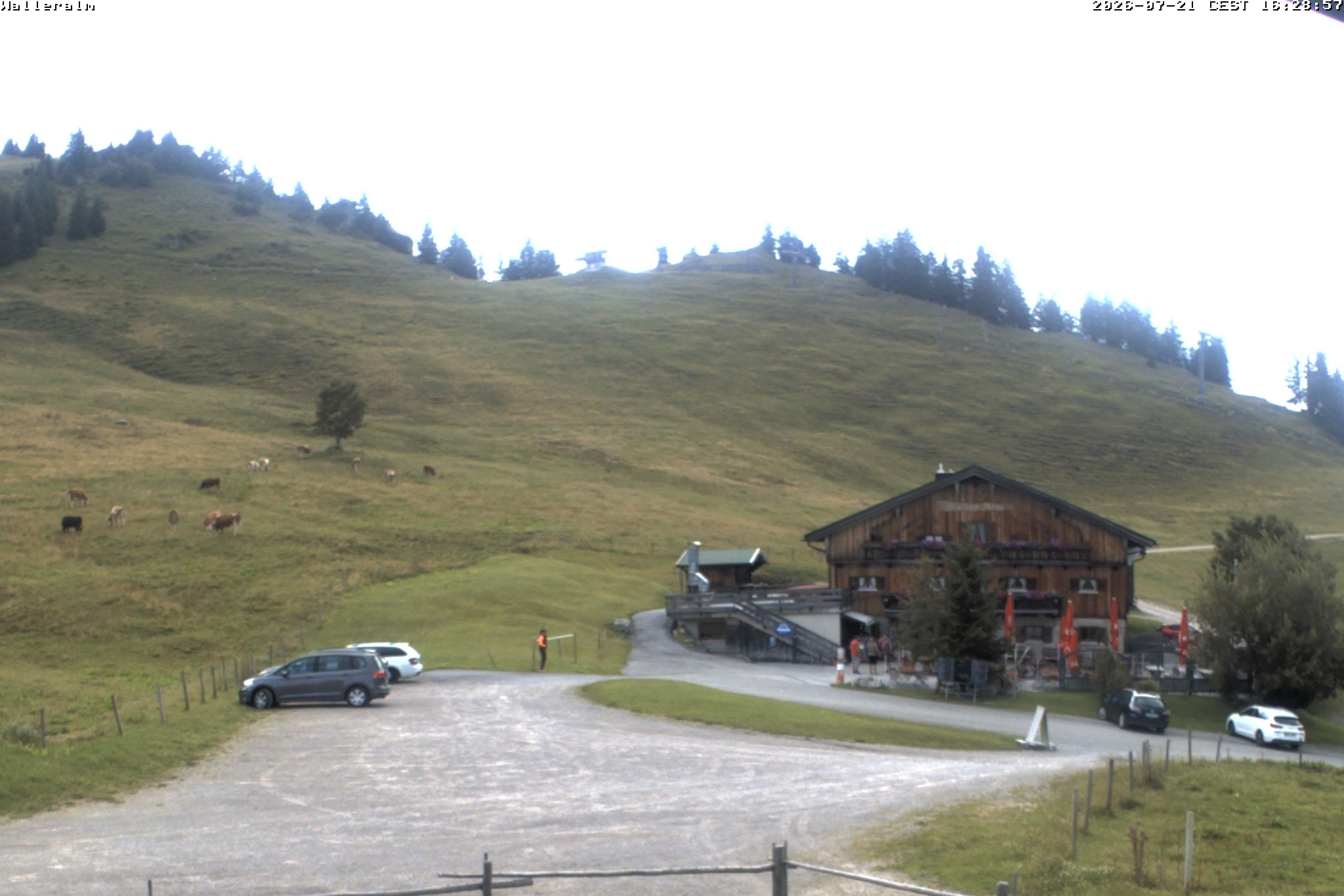 Archiv Foto Webcam Walleralm im Oberen Sudelfeld