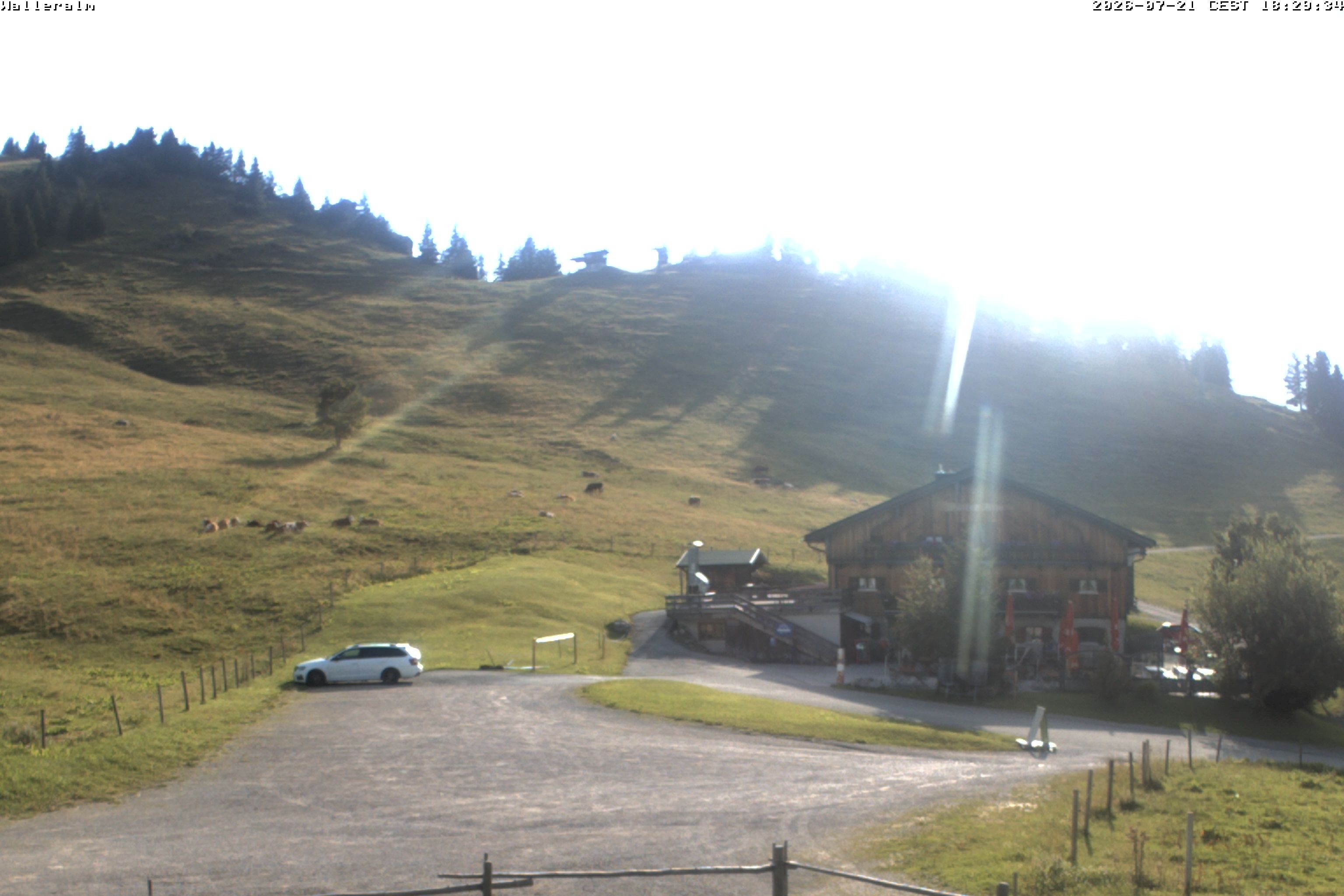 Archiv Foto Webcam Walleralm im Oberen Sudelfeld