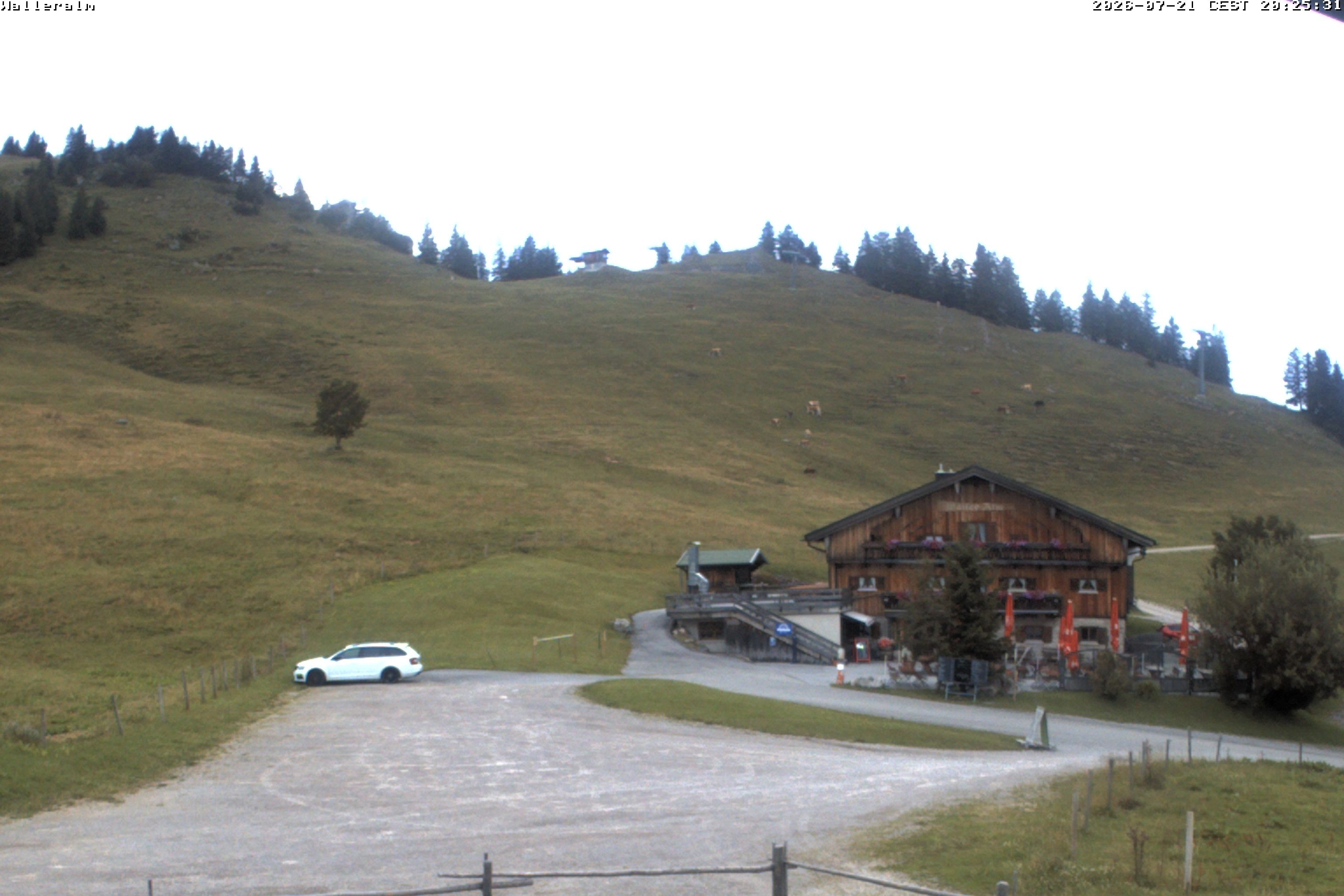 Archiv Foto Webcam Walleralm im Oberen Sudelfeld