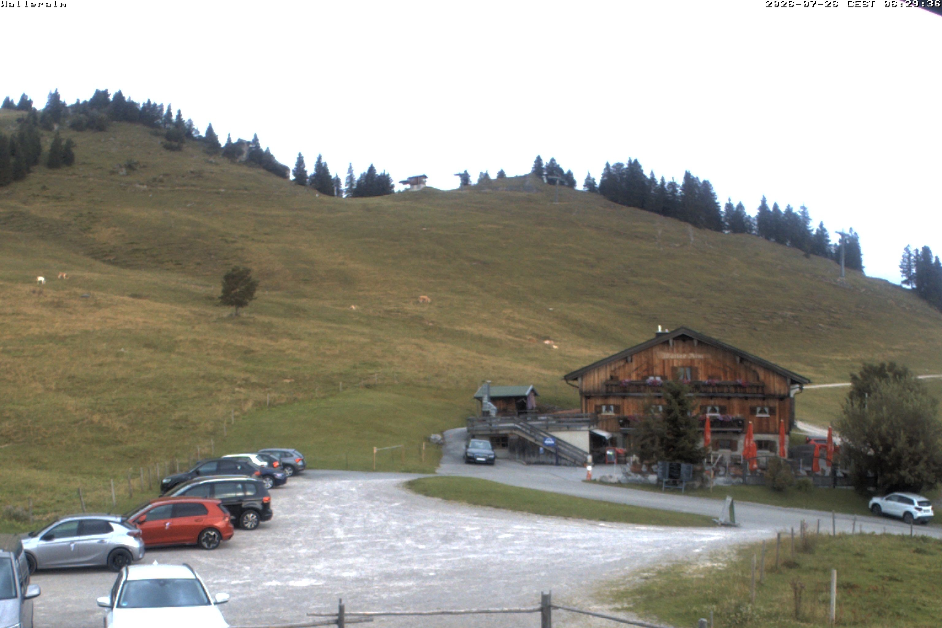 Archiv Foto Webcam Walleralm im Oberen Sudelfeld