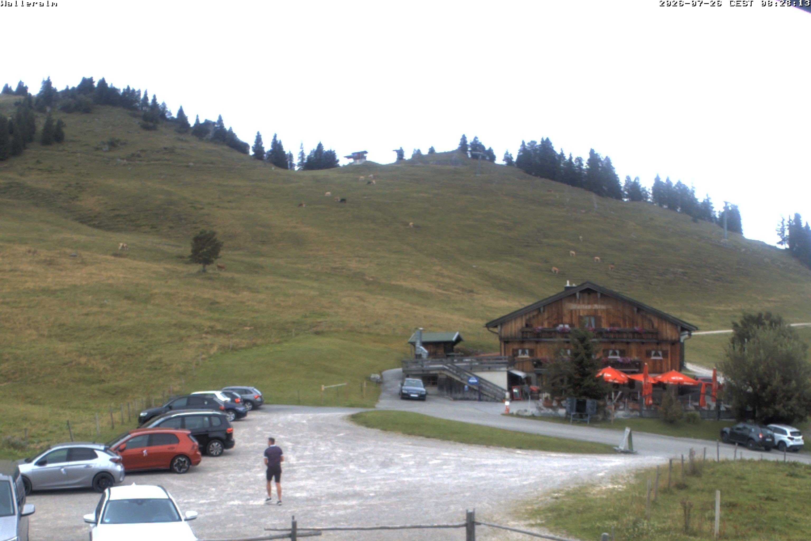 Archiv Foto Webcam Walleralm im Oberen Sudelfeld