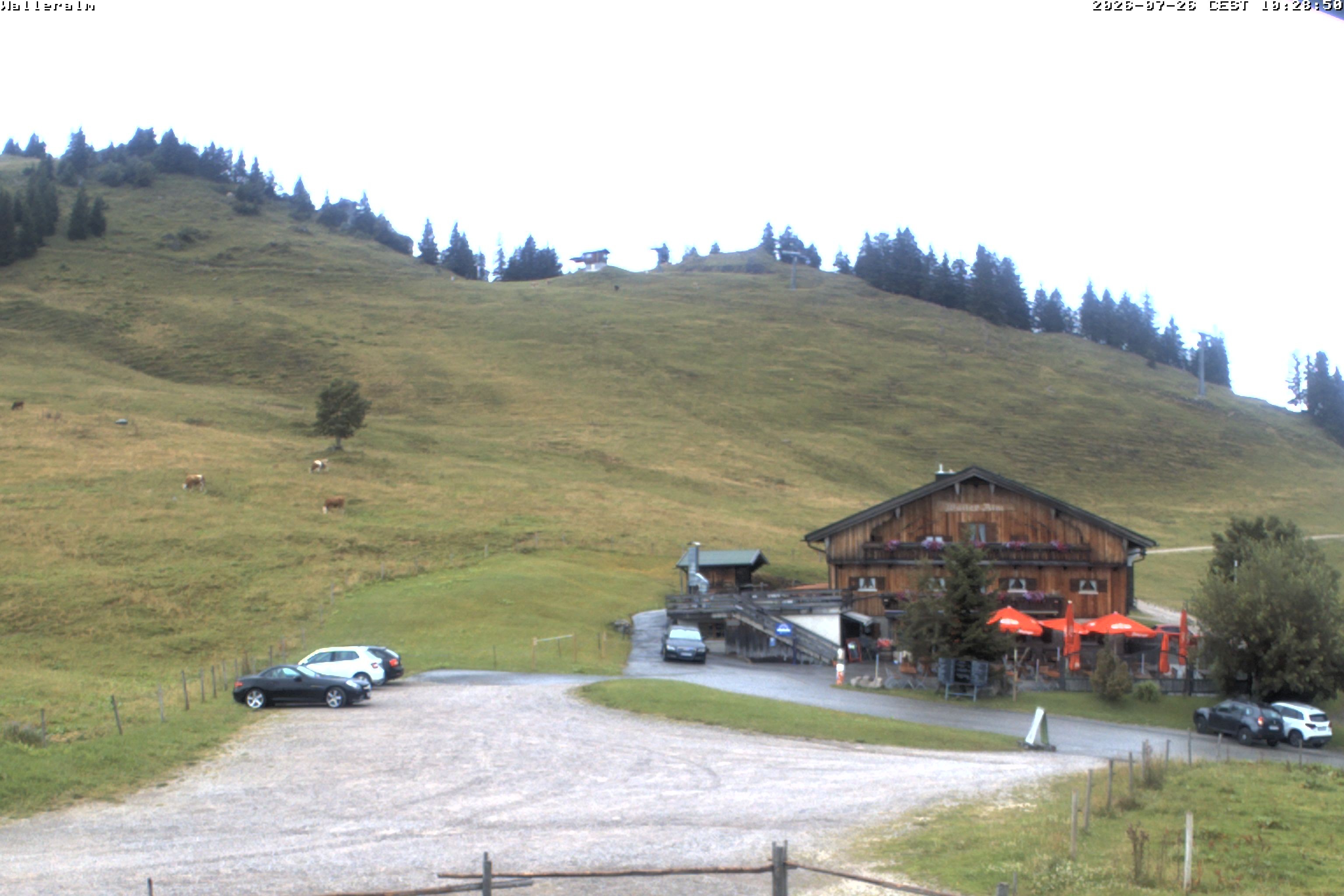 Archiv Foto Webcam Walleralm im Oberen Sudelfeld