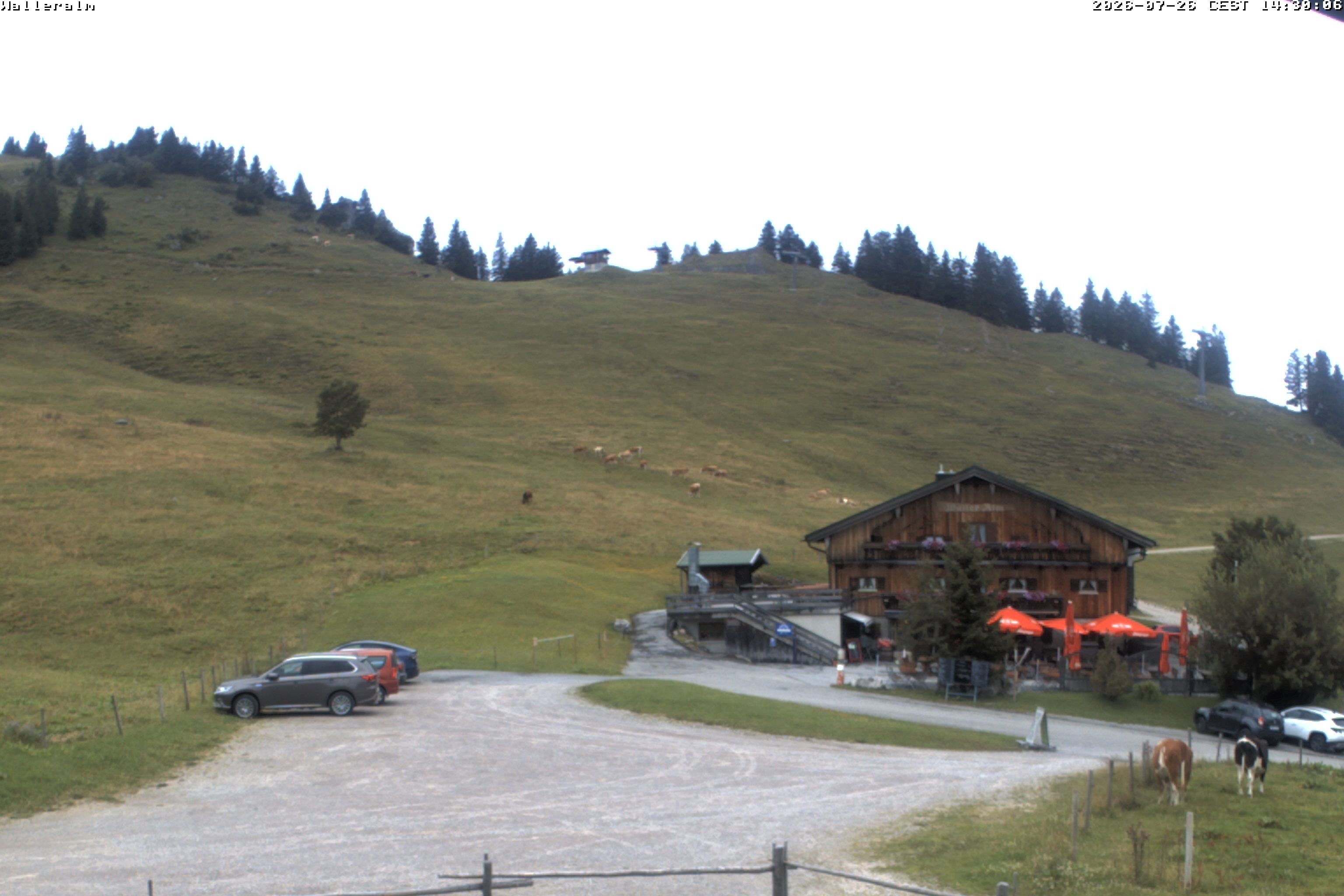 Archiv Foto Webcam Walleralm im Oberen Sudelfeld