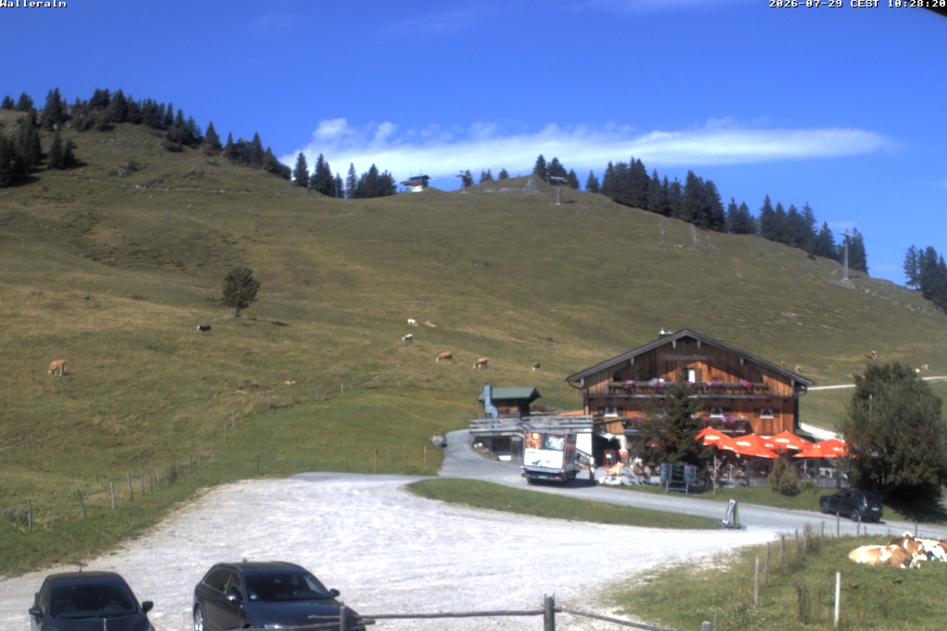 Archiv Foto Webcam Walleralm im Oberen Sudelfeld
