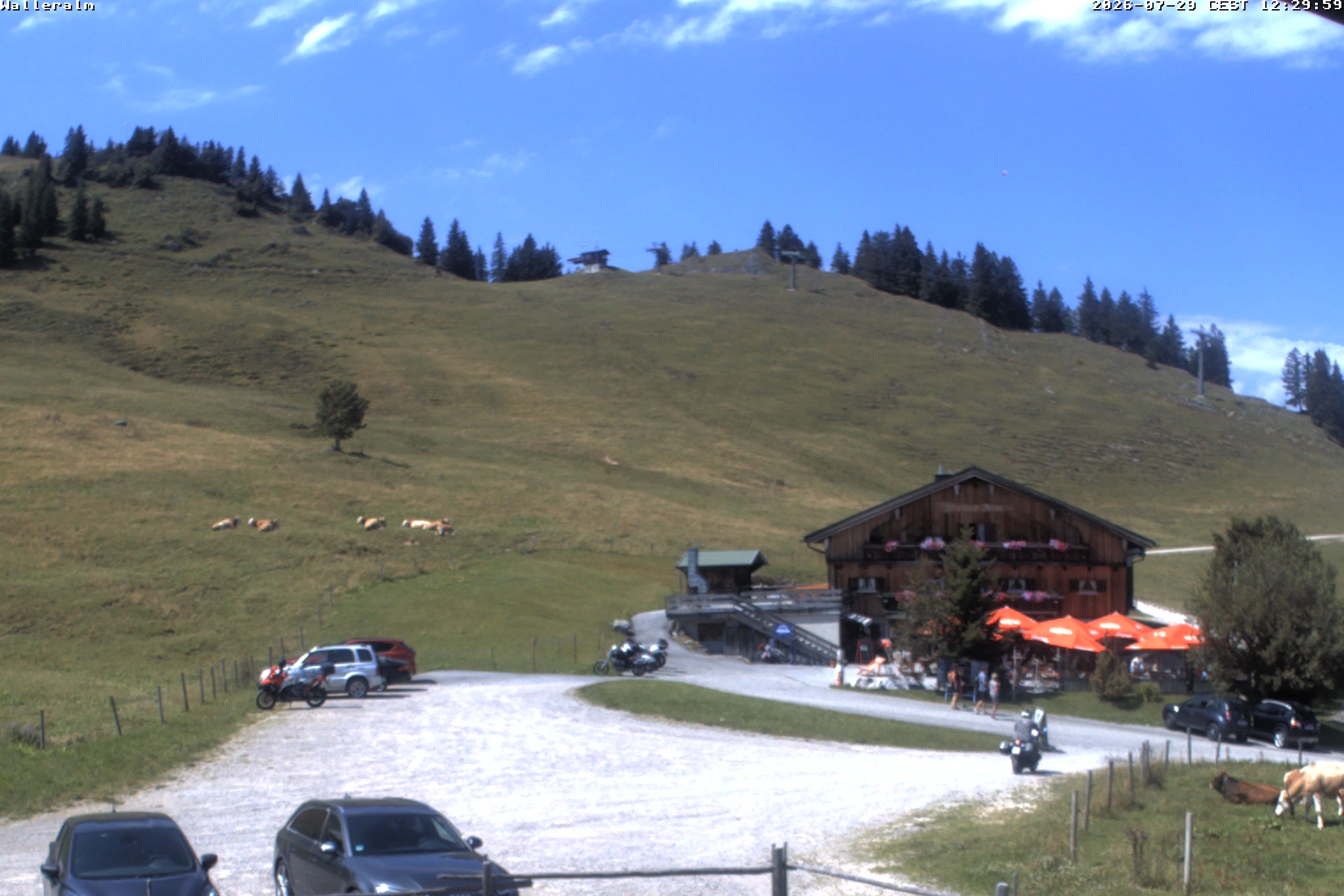 Archiv Foto Webcam Walleralm im Oberen Sudelfeld