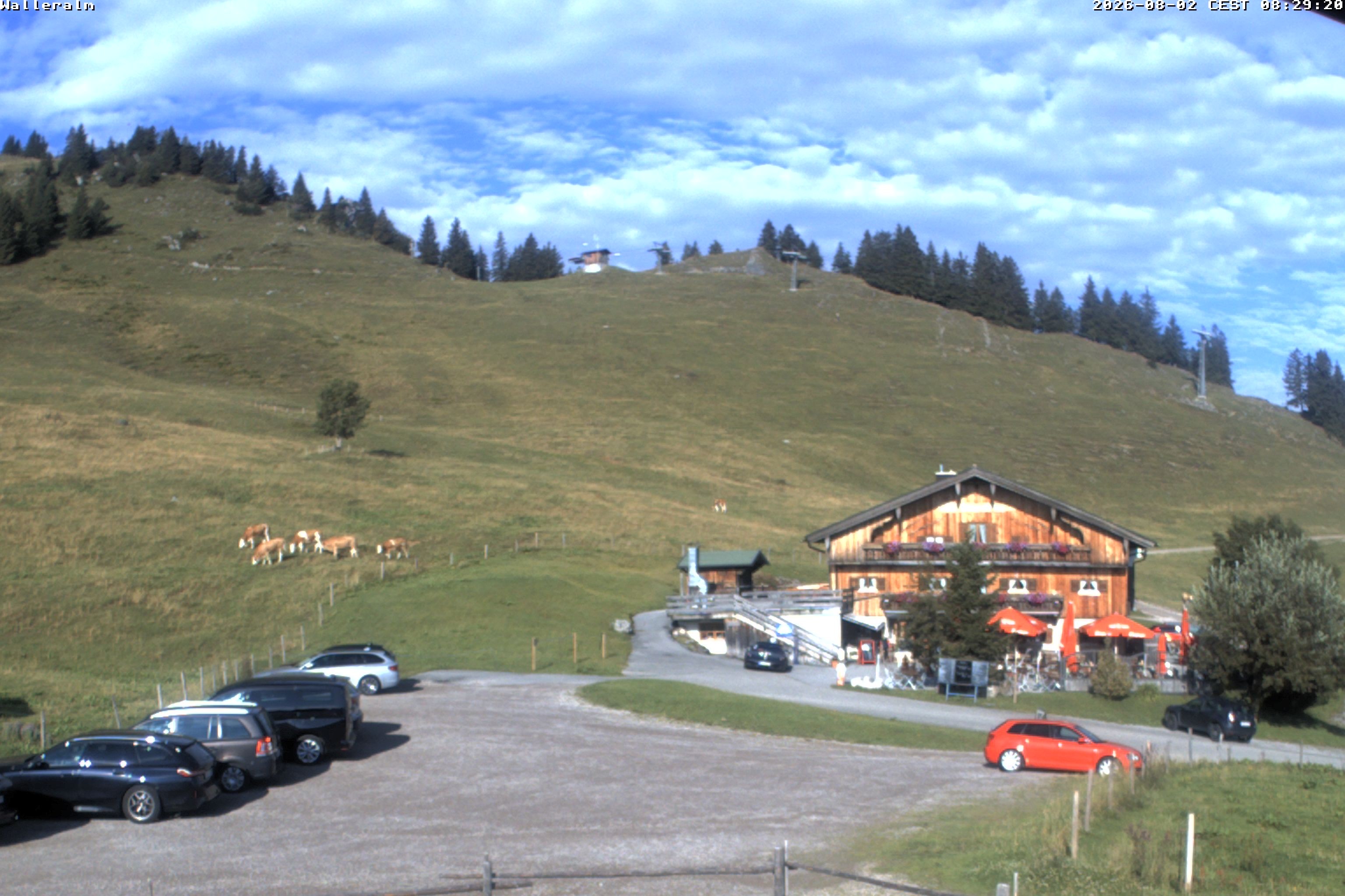 Archiv Foto Webcam Walleralm im Oberen Sudelfeld