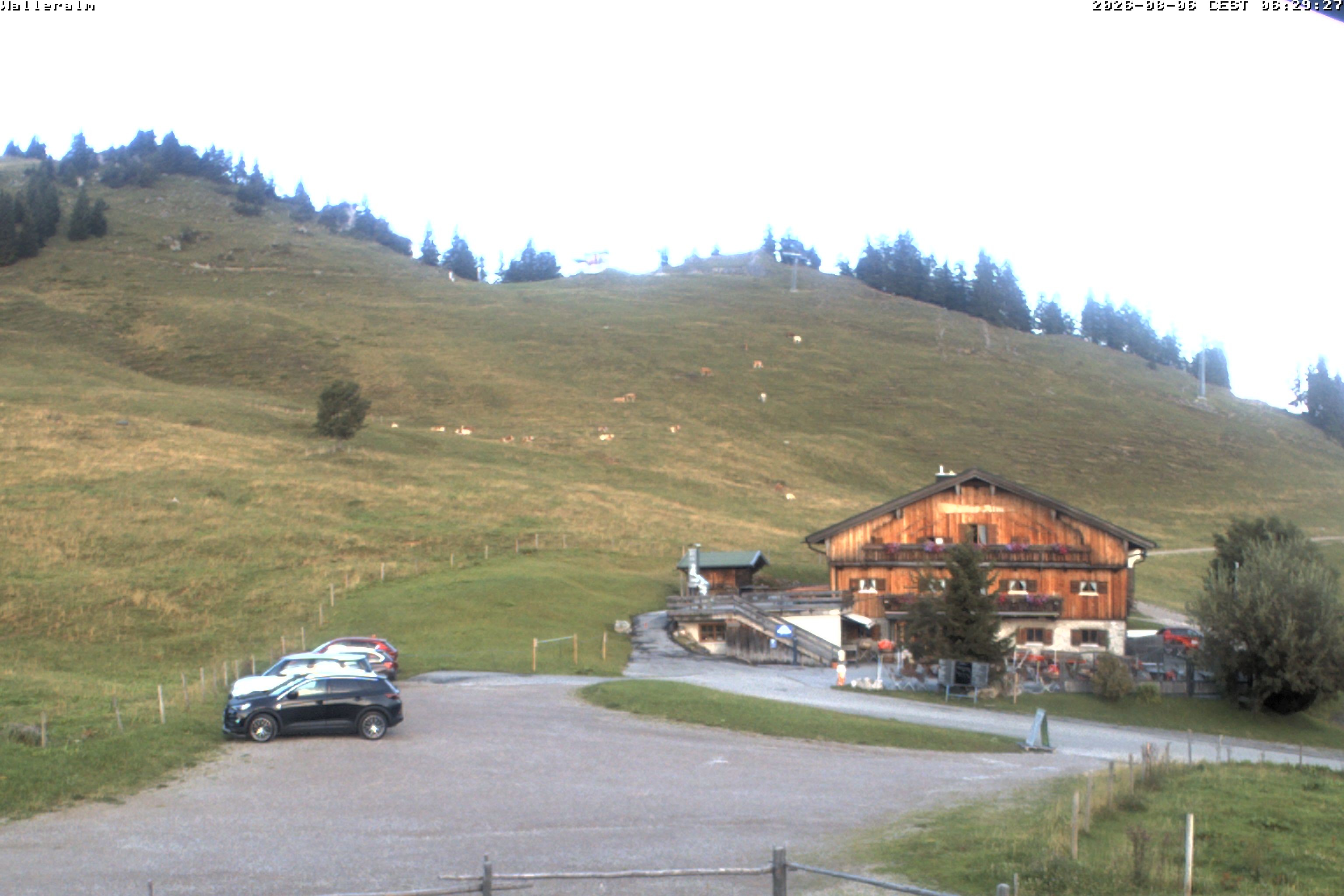 Archiv Foto Webcam Walleralm im Oberen Sudelfeld