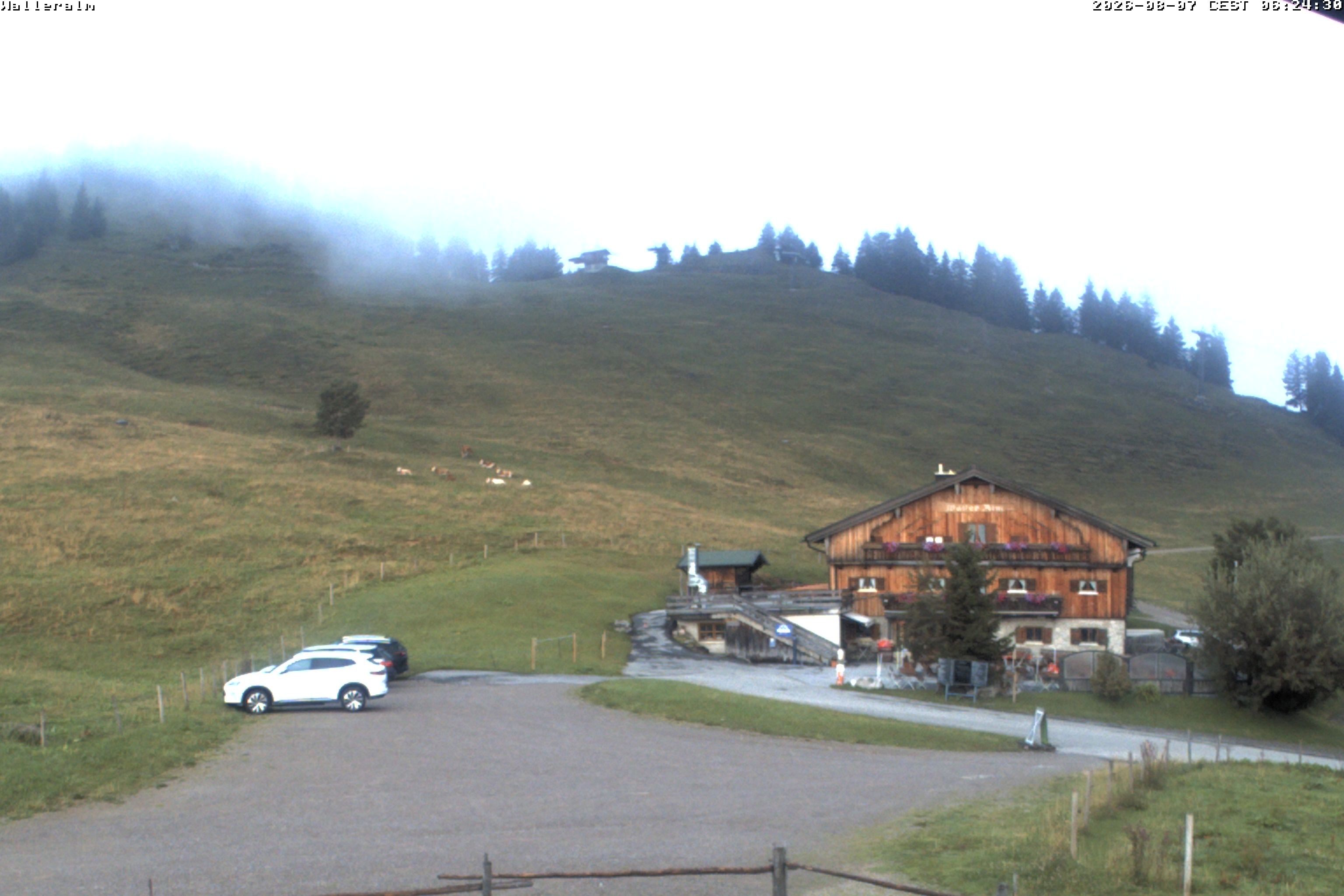 Archiv Foto Webcam Walleralm im Oberen Sudelfeld
