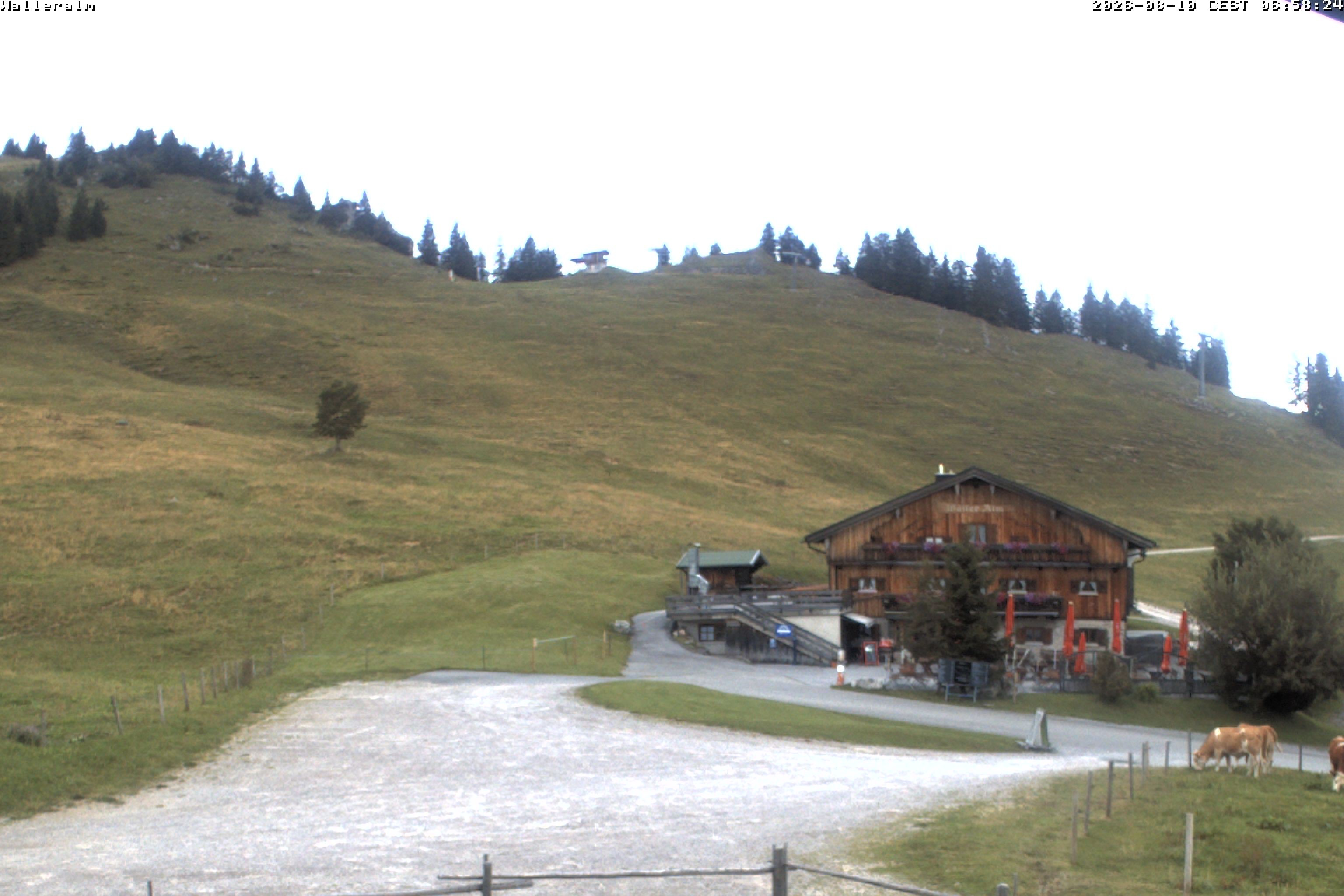 Archived image Webcam Walleralm alp, Upper Sudelfeld