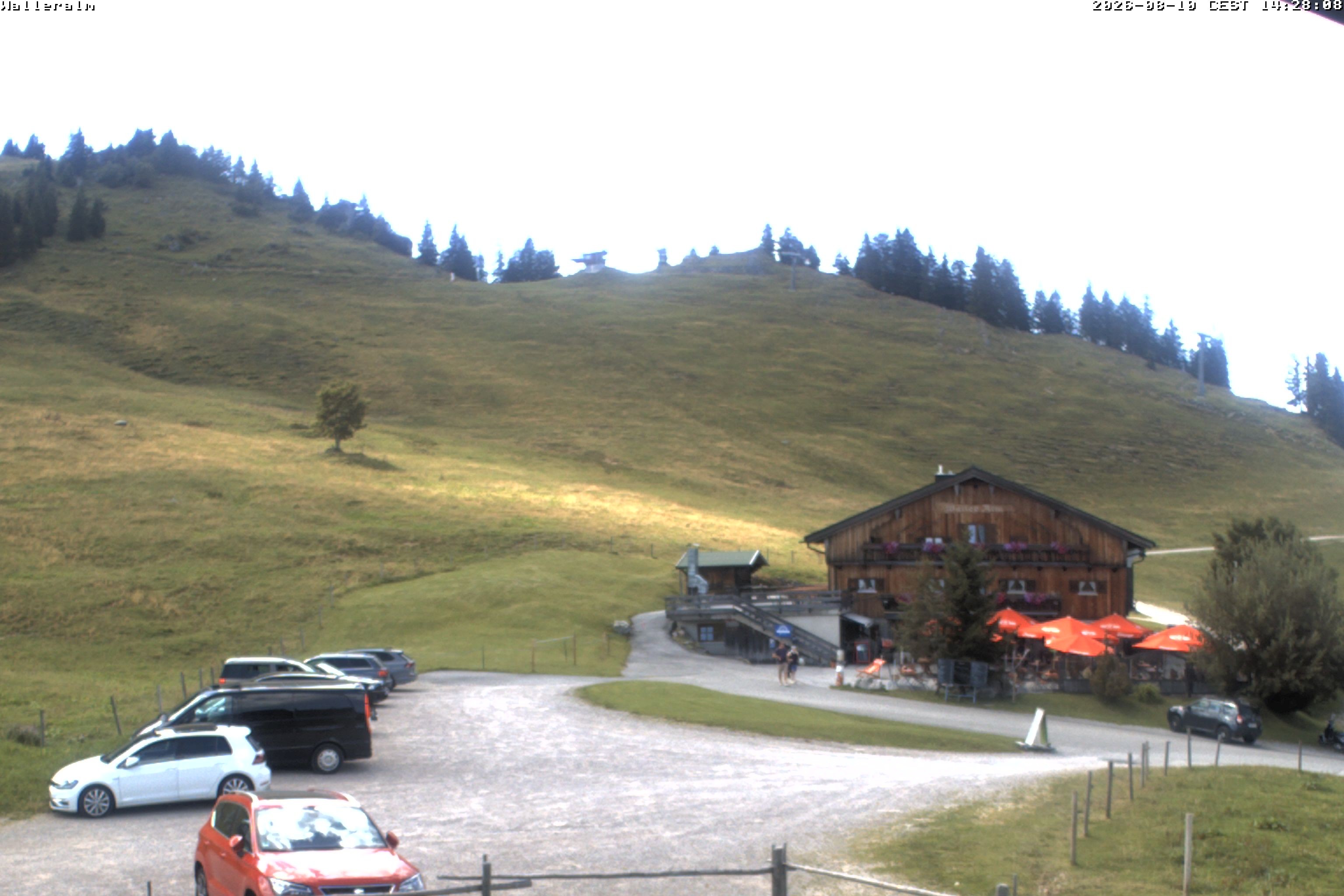 Archived image Webcam Walleralm alp, Upper Sudelfeld