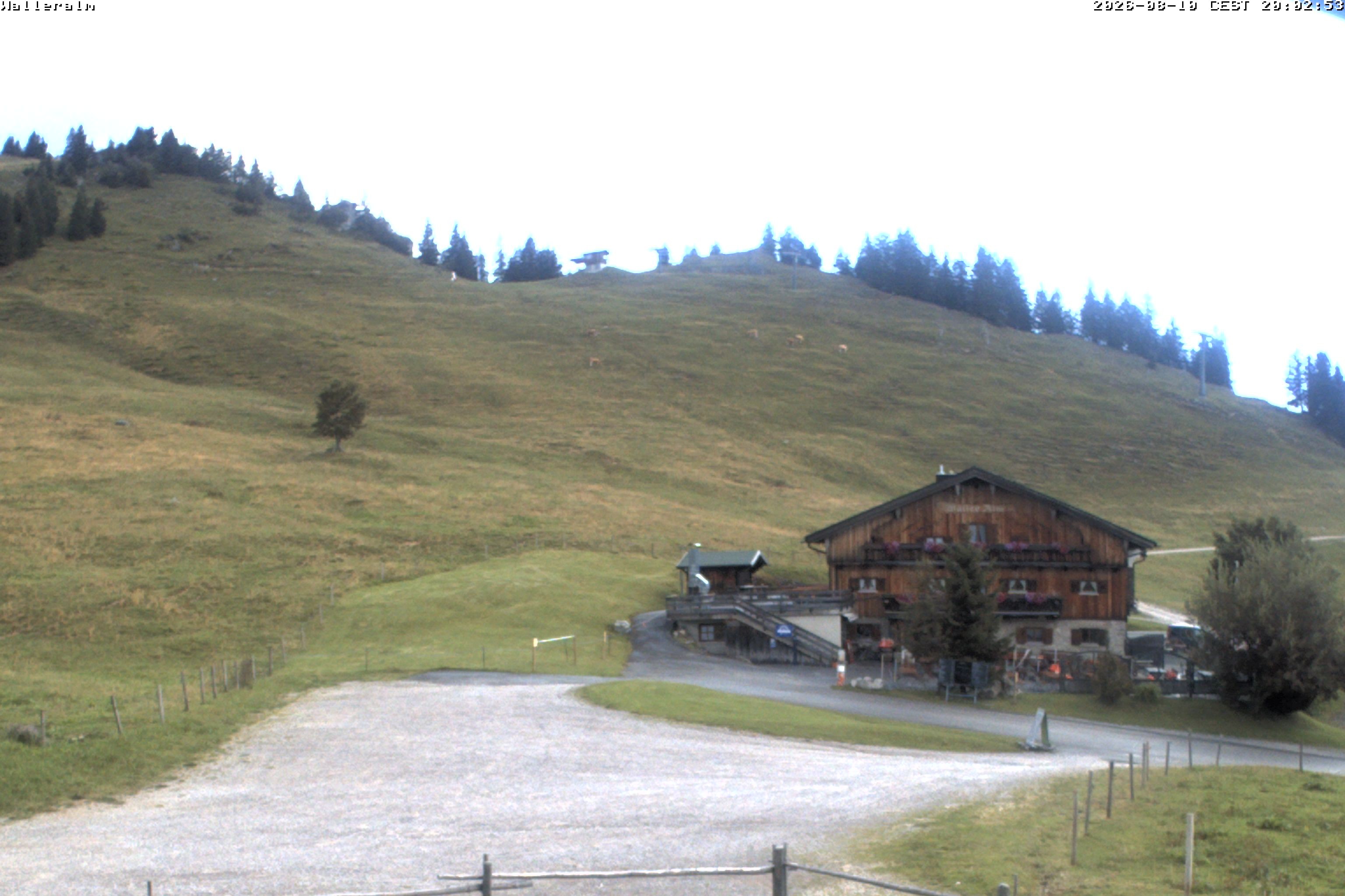 Archiv Foto Webcam Walleralm im Oberen Sudelfeld