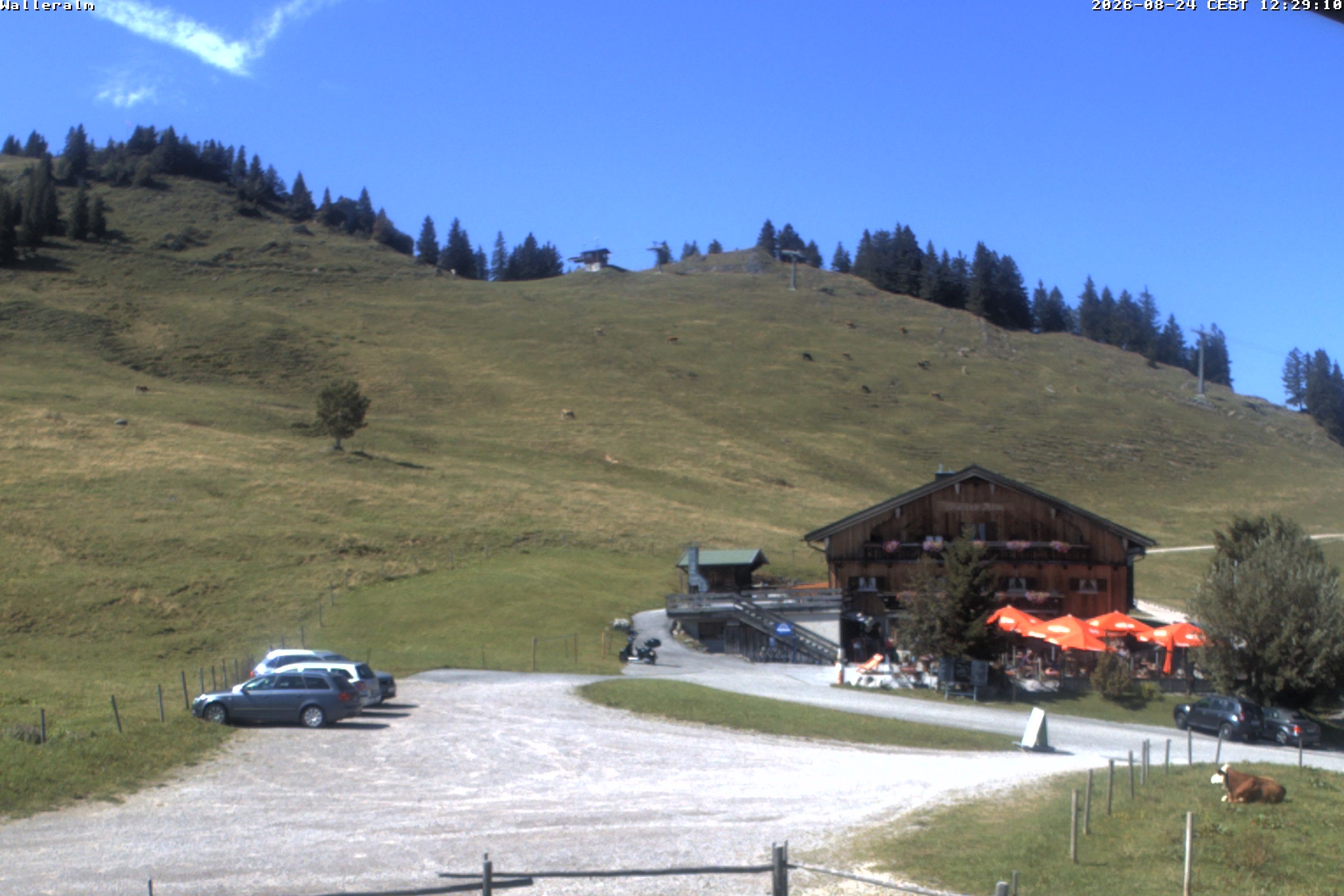 Archiv Foto Webcam Walleralm im Oberen Sudelfeld
