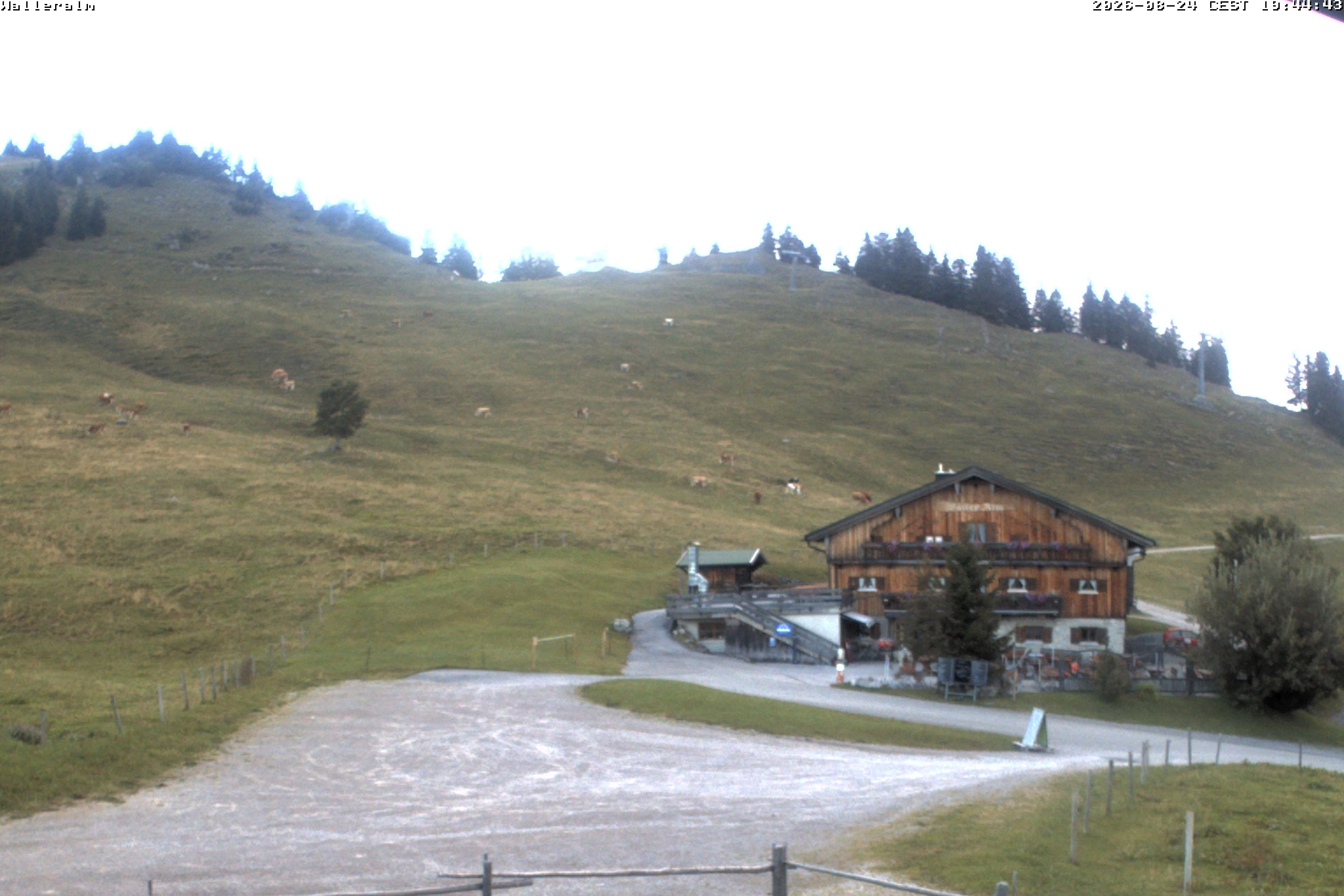 Archiv Foto Webcam Walleralm im Oberen Sudelfeld