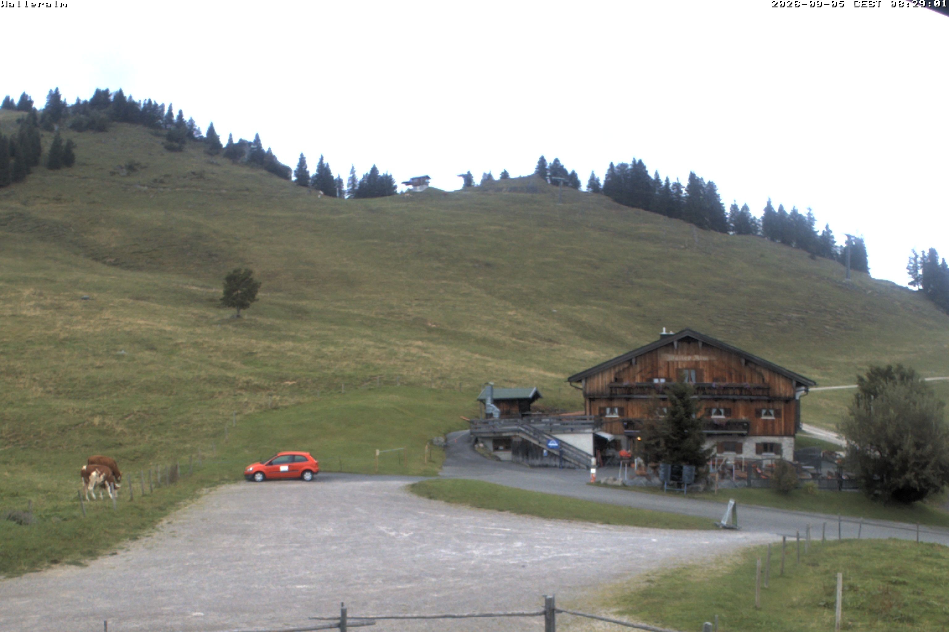Archiv Foto Webcam Walleralm im Oberen Sudelfeld