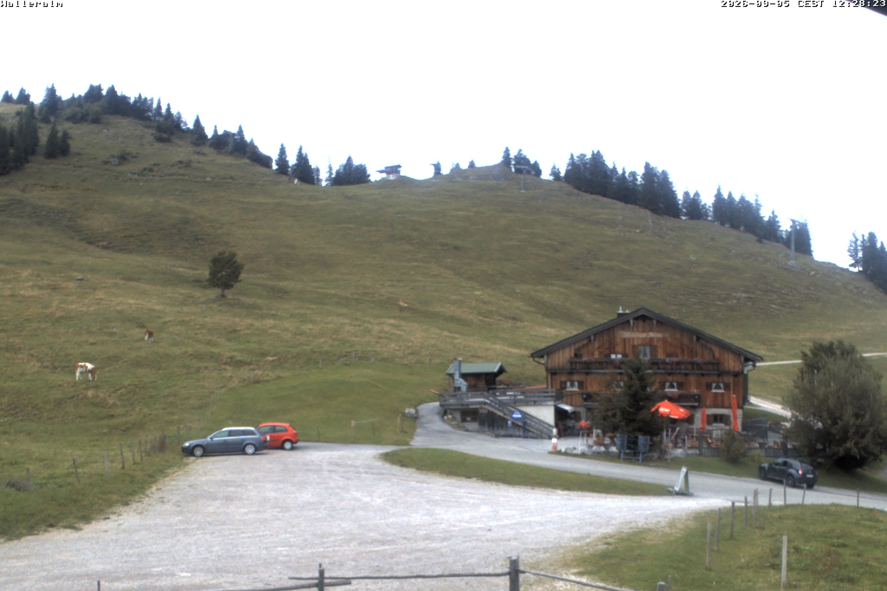 Archiv Foto Webcam Walleralm im Oberen Sudelfeld