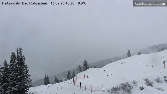 Archiv Foto Webcam Bad Hofgastein: Ausblick Haitzingalm