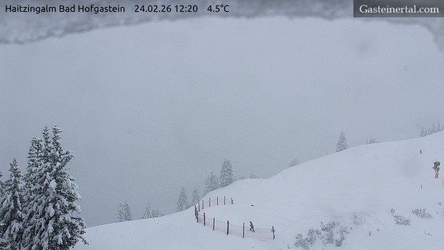Archived image Webcam Haitzingalm View - Bad Hofgastein
