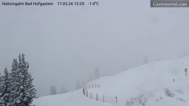 Archiv Foto Webcam Bad Hofgastein: Ausblick Haitzingalm