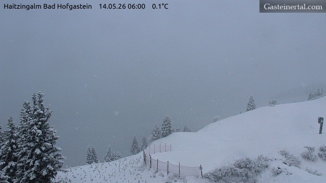 Archiv Foto Webcam Bad Hofgastein: Ausblick Haitzingalm