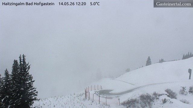 Archiv Foto Webcam Bad Hofgastein: Ausblick Haitzingalm