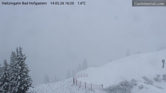Archiv Foto Webcam Bad Hofgastein: Ausblick Haitzingalm