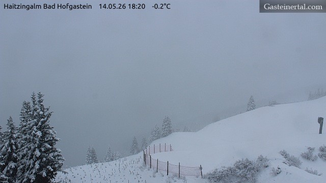 Archiv Foto Webcam Bad Hofgastein: Ausblick Haitzingalm