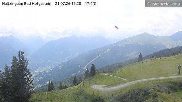 Archiv Foto Webcam Bad Hofgastein: Ausblick Haitzingalm