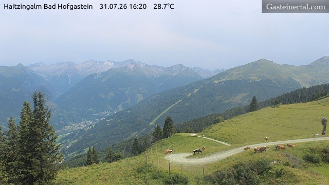 Archiv Foto Webcam Bad Hofgastein: Ausblick Haitzingalm