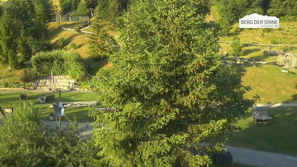 Archiv Foto Webcam Mittelstation Asitz Kabinenbahn