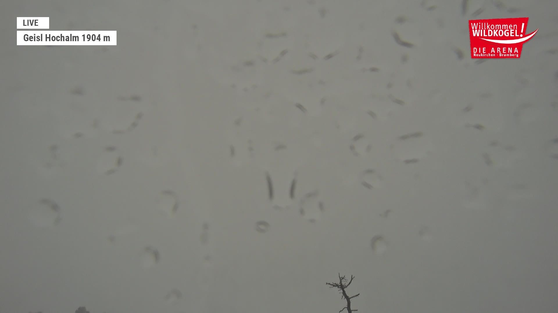 Archiv Foto Webcam Aussichts-Bergrestaurant Wildkogel-Arena