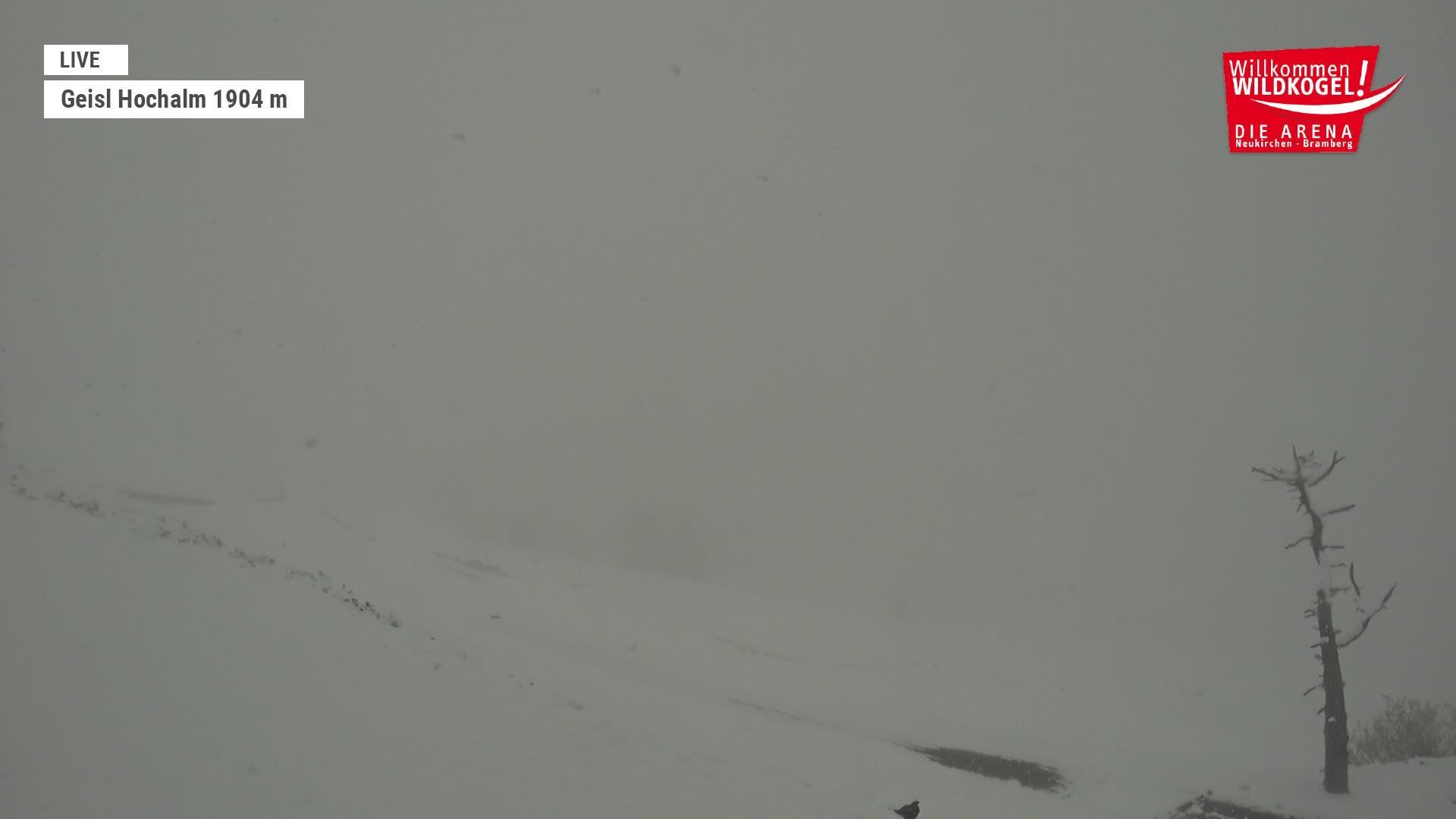 Archiv Foto Webcam Aussichts-Bergrestaurant Wildkogel-Arena